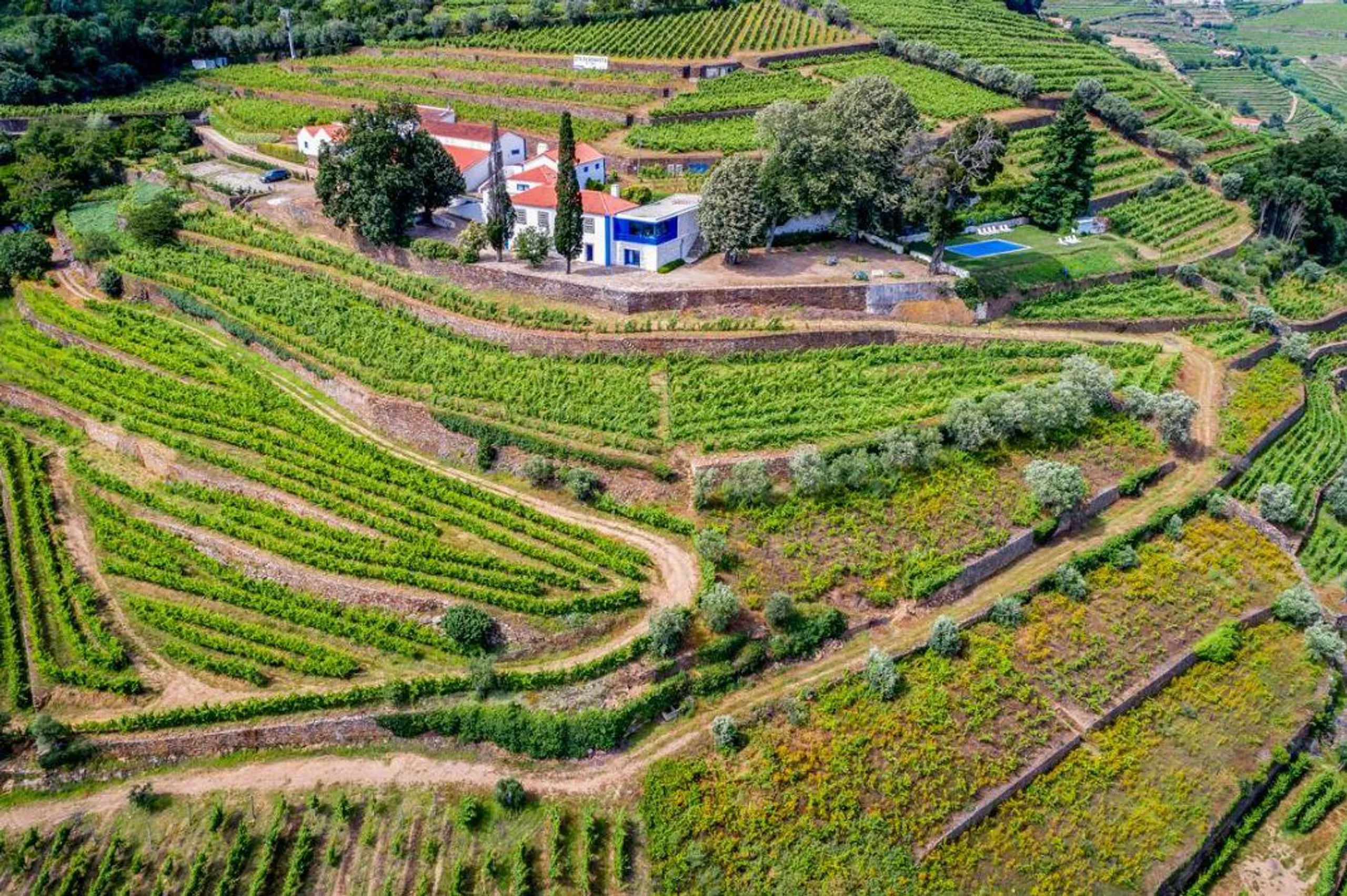 Majestic 17th-Century Villa with Private Pool Overlooking the Douro River and Vineyards, Mesao Frio