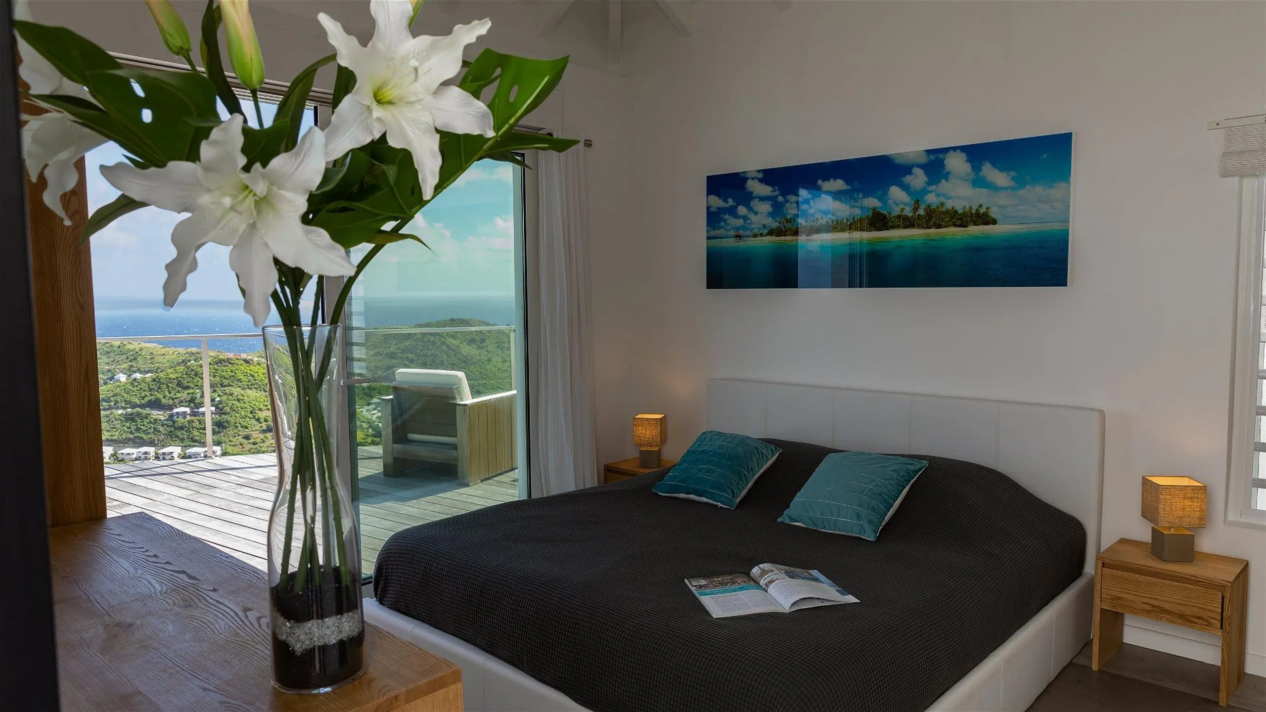 Spectacular Carribean Villa with Infinty Pool and Ocean View — photograph 10