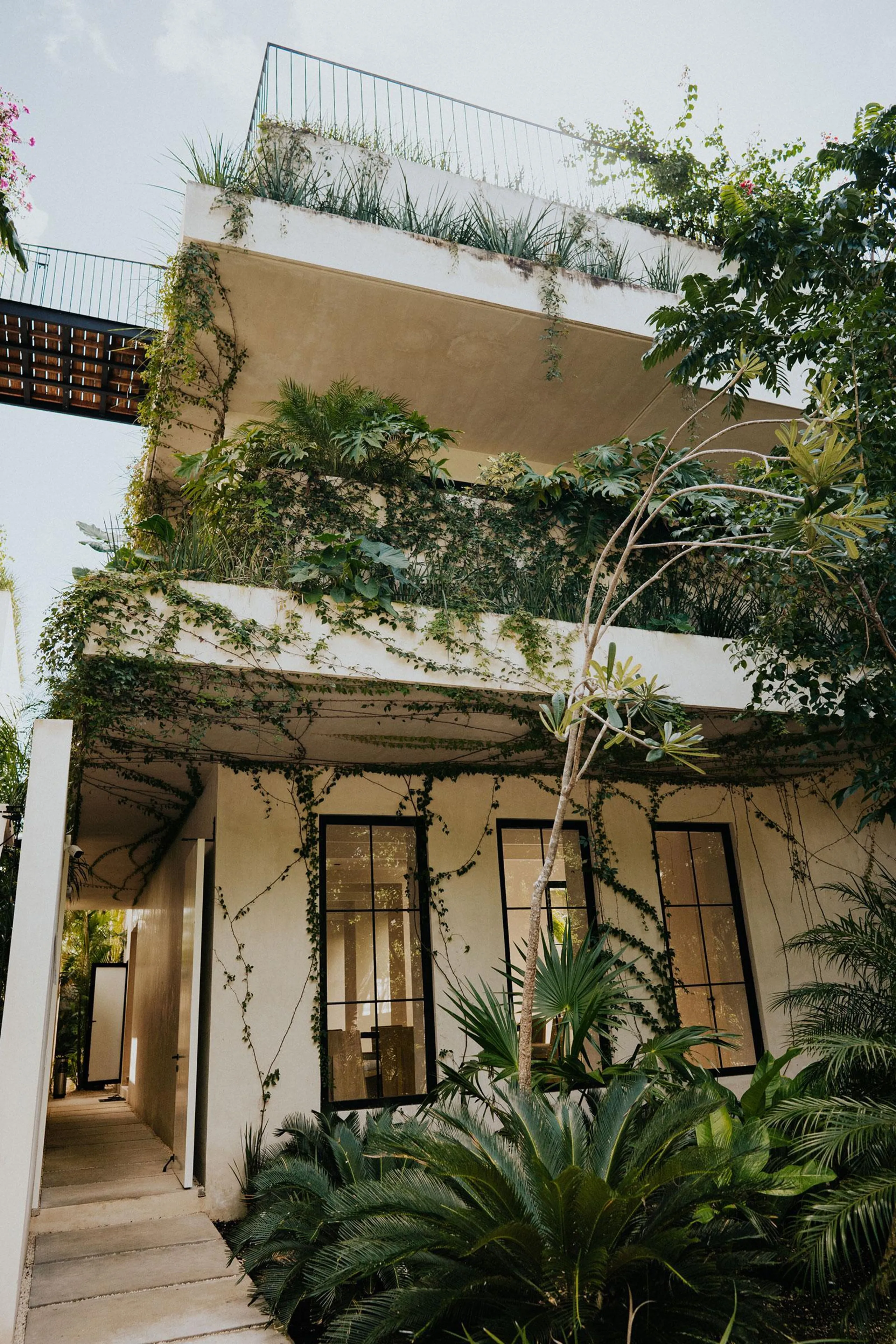 Combined Tulum Luxury Villa Compound with Private Pools and Views — photograph 11