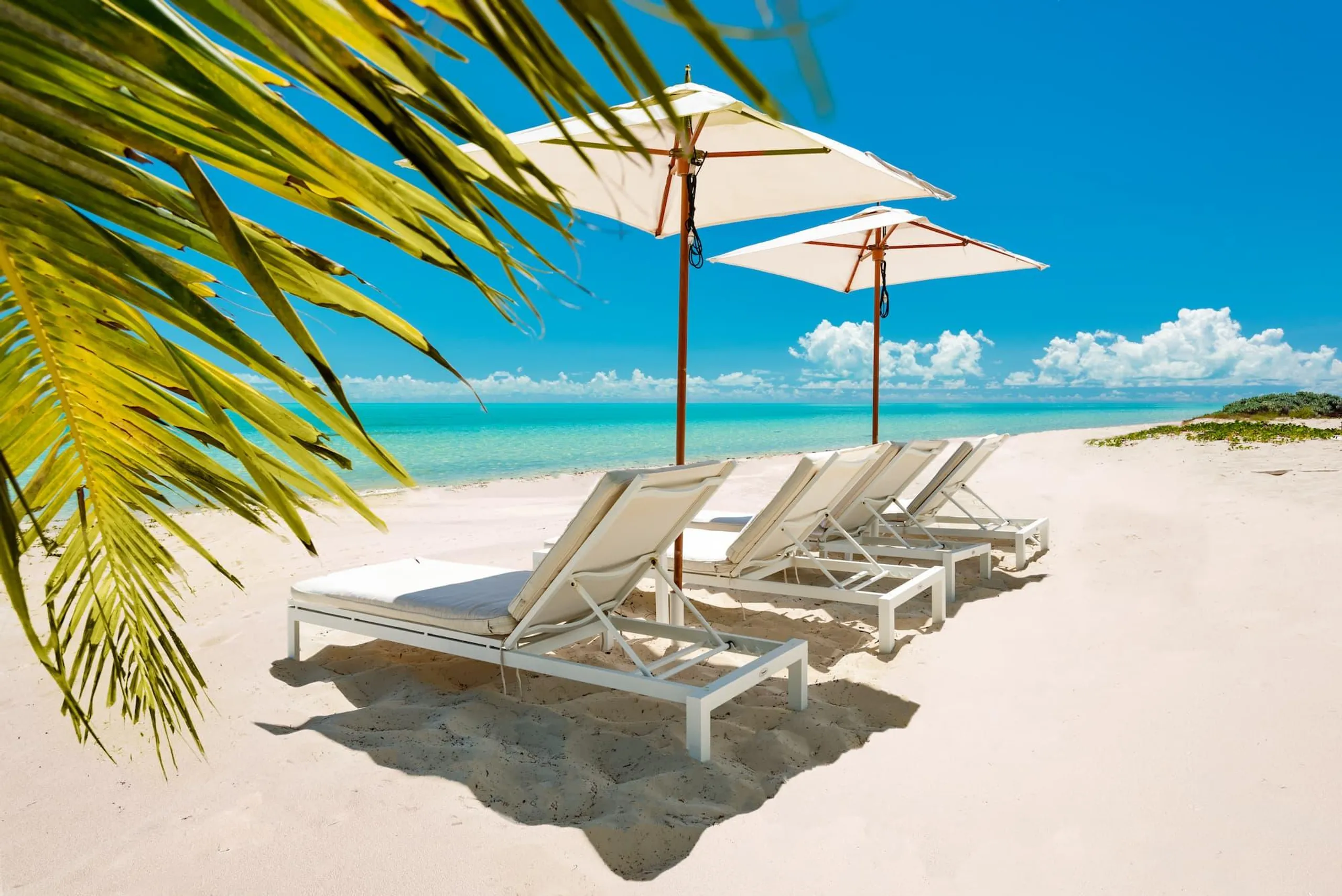 Tranquil Beachfront Bliss Villa with Private Infinity Pool Steps from Ocean — photograph 4