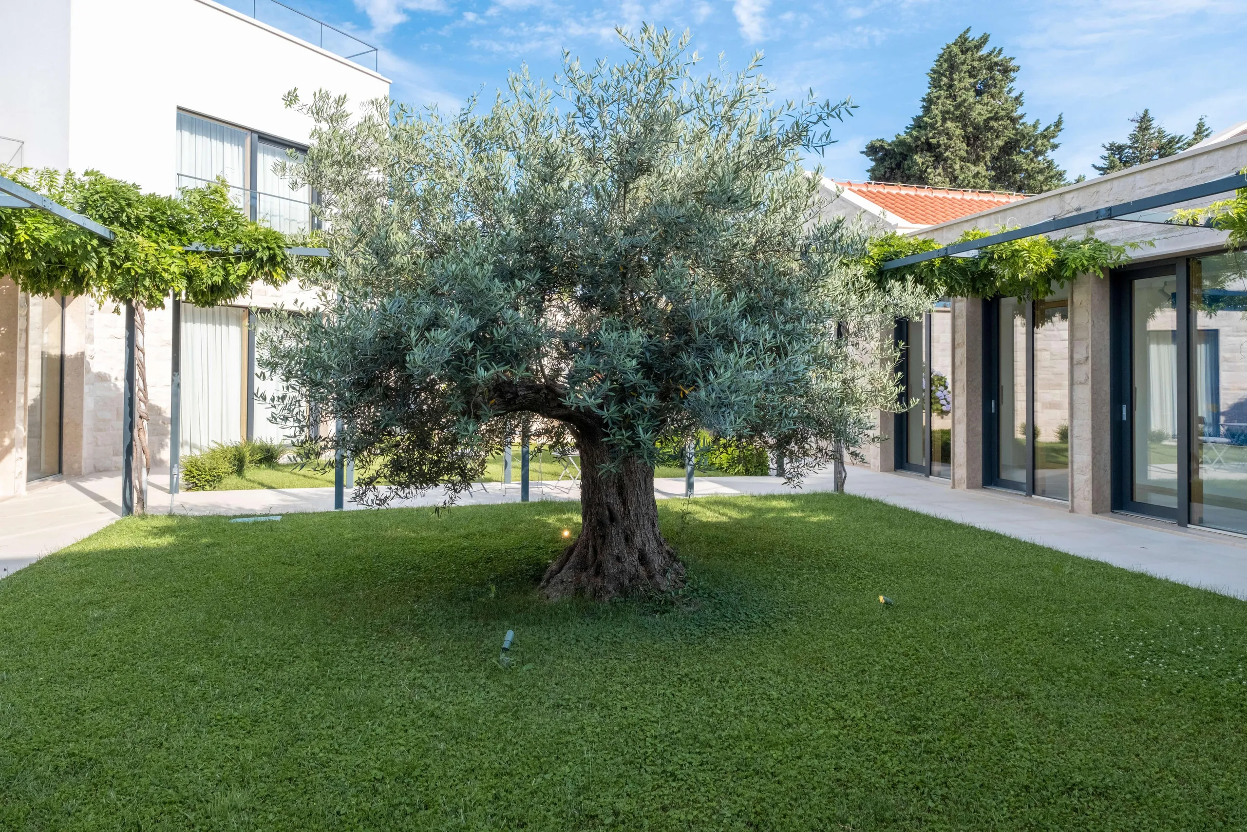 Unveiling Brac Luxury Retreat with Sparkling Pool and  Panoramic Views — photograph 9