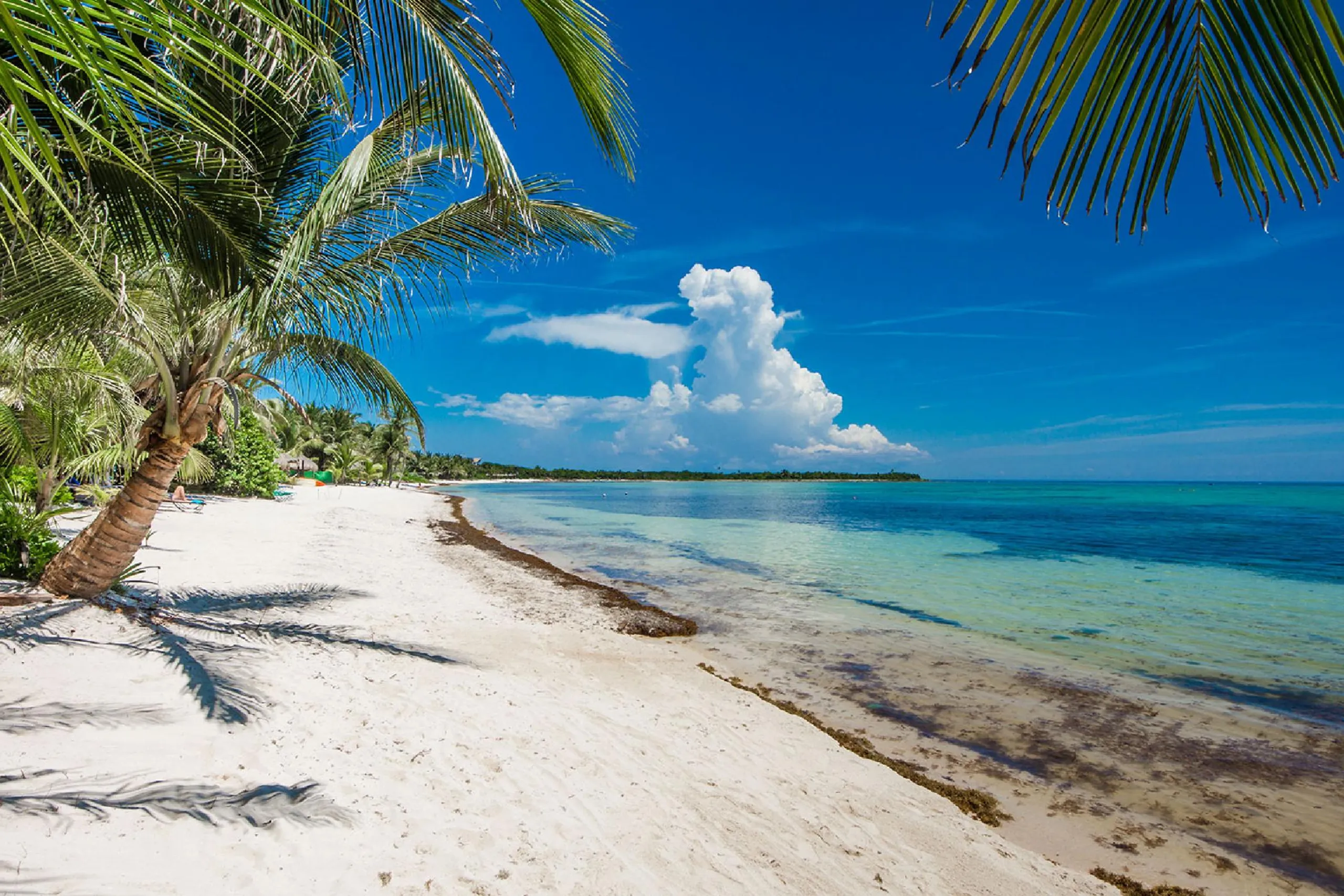 Private and Secluded Beachfront Soliman Bay Estate with 2 Private Pools and Ocean Views — photograph 7