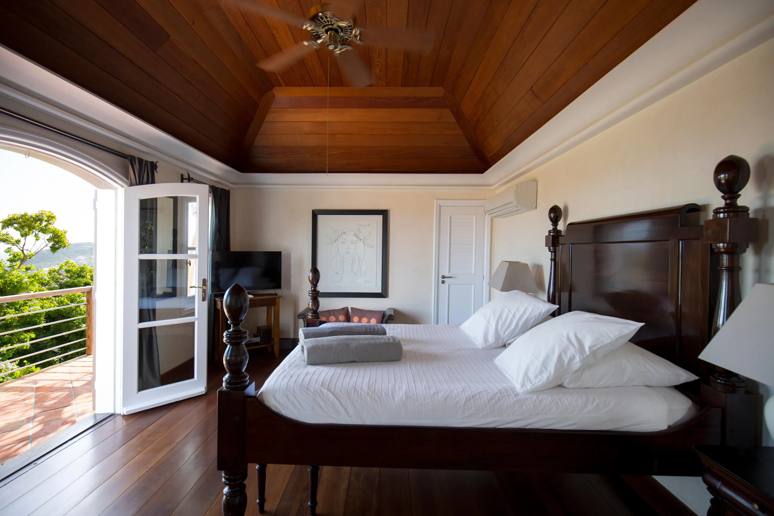 Phenomenal Paradise Villa with Private Pool and Ocean Views — photograph 9