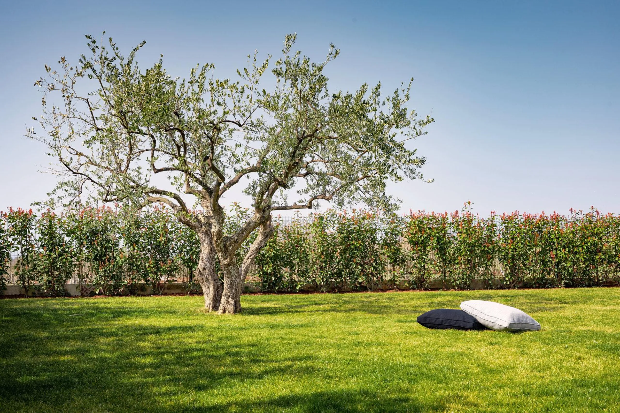 Palatial Gleaming White Villa with Private Pool a Scenic Views — photograph 2