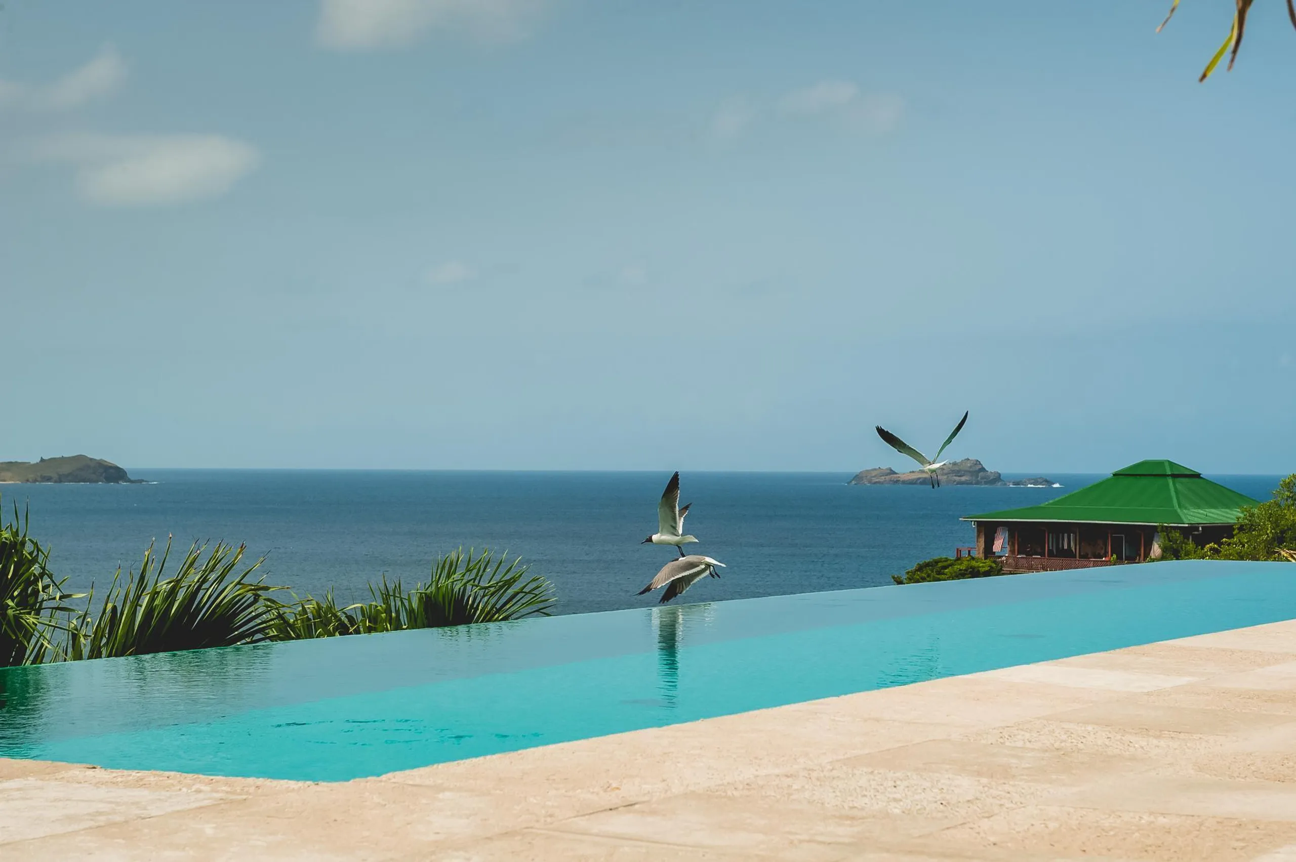 Superb Paradise Villa with Infinity Pool and Firepit — photograph 4
