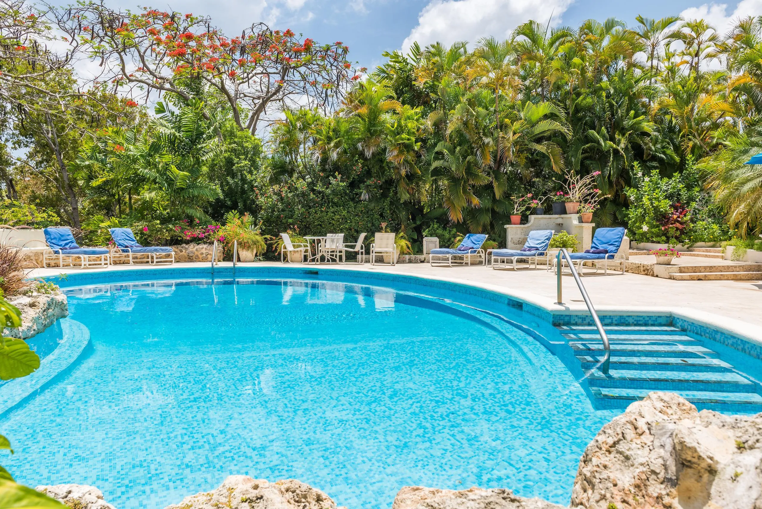 Sandy Lane's Lush and Tropic Villa with Access to a World Class Beach Club and more — photograph 11