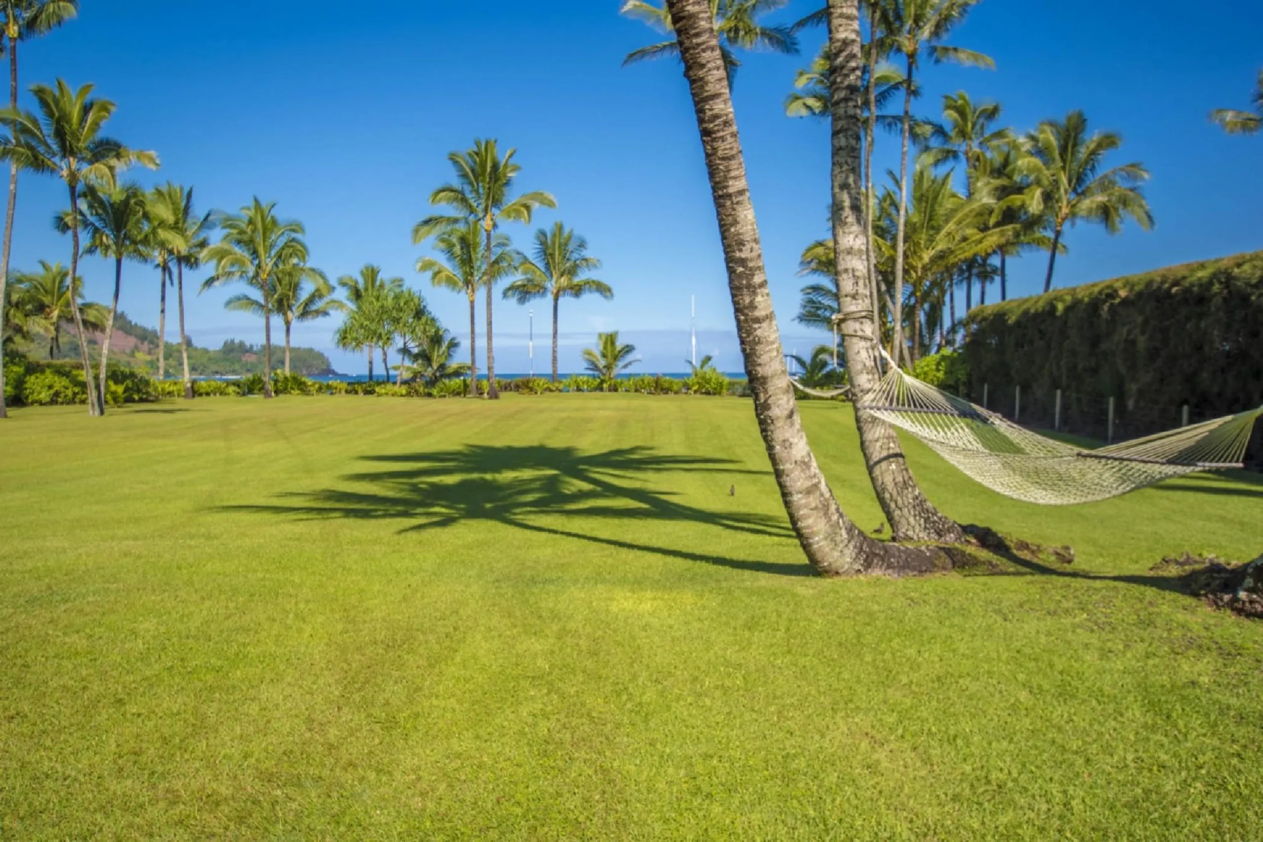 Gorgeous Bay Villa with Lush Garden Grounds with Sweeping Views of Hanalei Bay — photograph 4