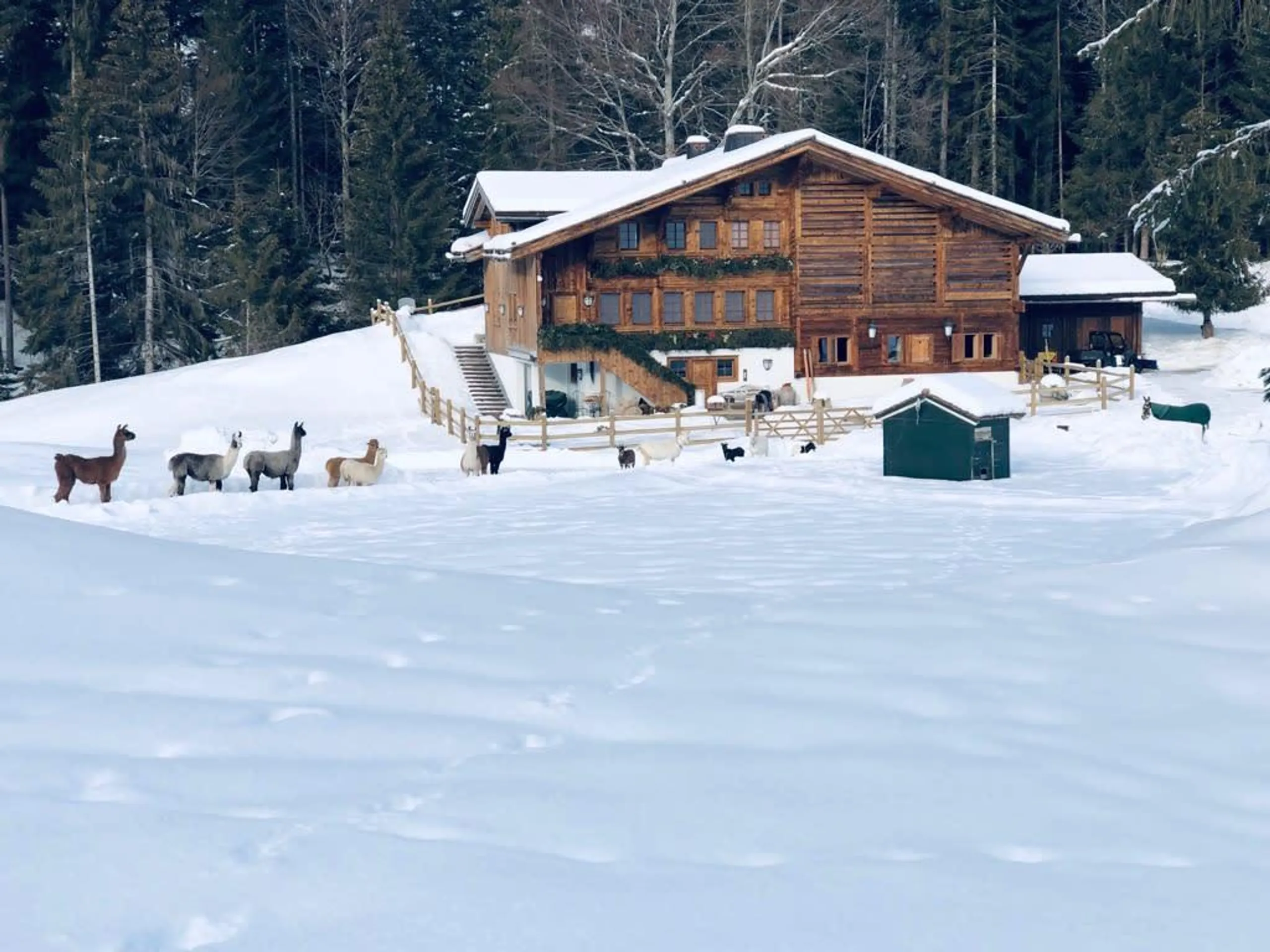 Sumptuously Furnished Saanen Farmhouse with Fireplace and Jacuzzi Tub, Saanen