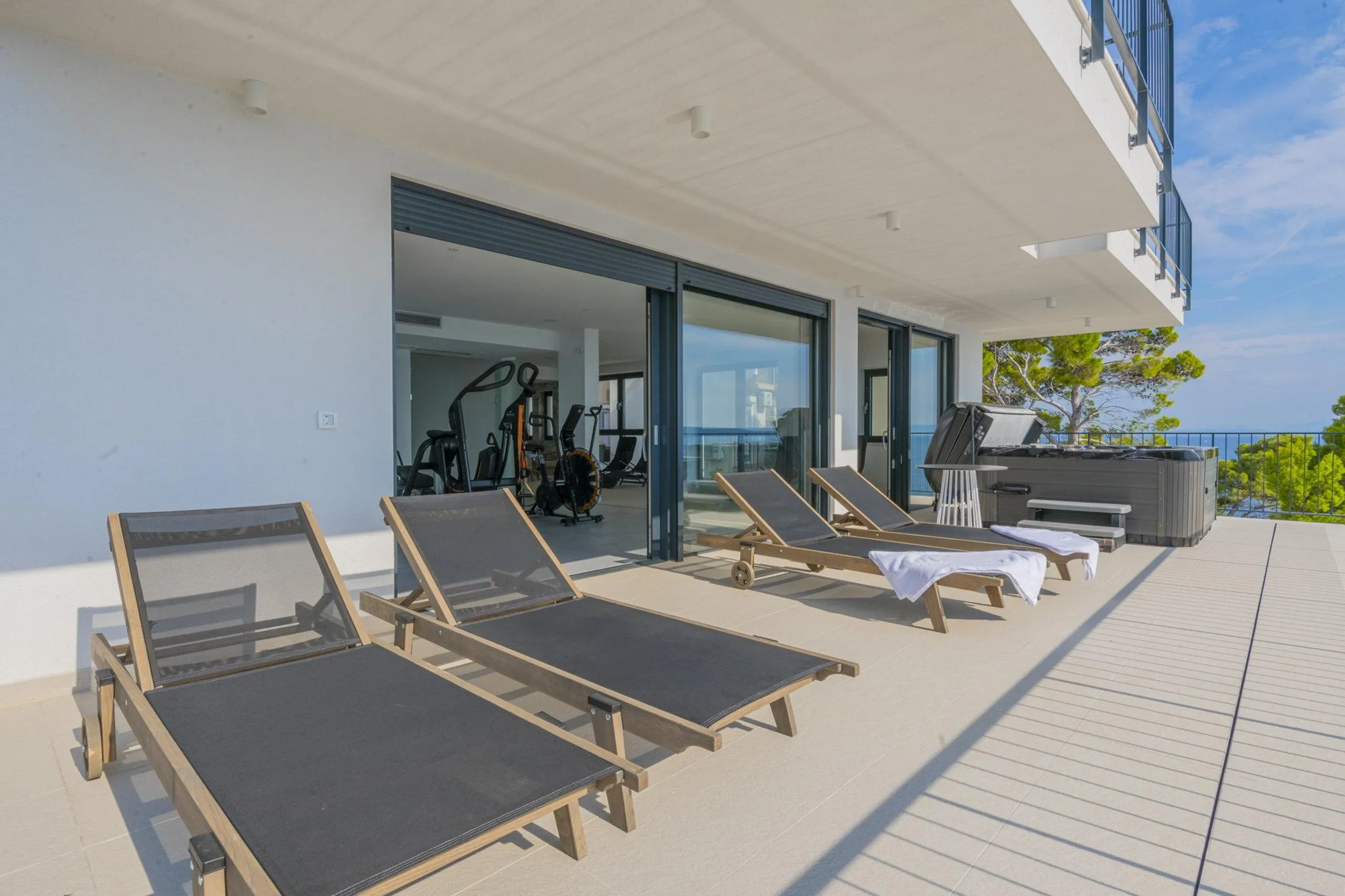 Luxurious Beachfront Villa with Infinity Pool and Elevator — photograph 6