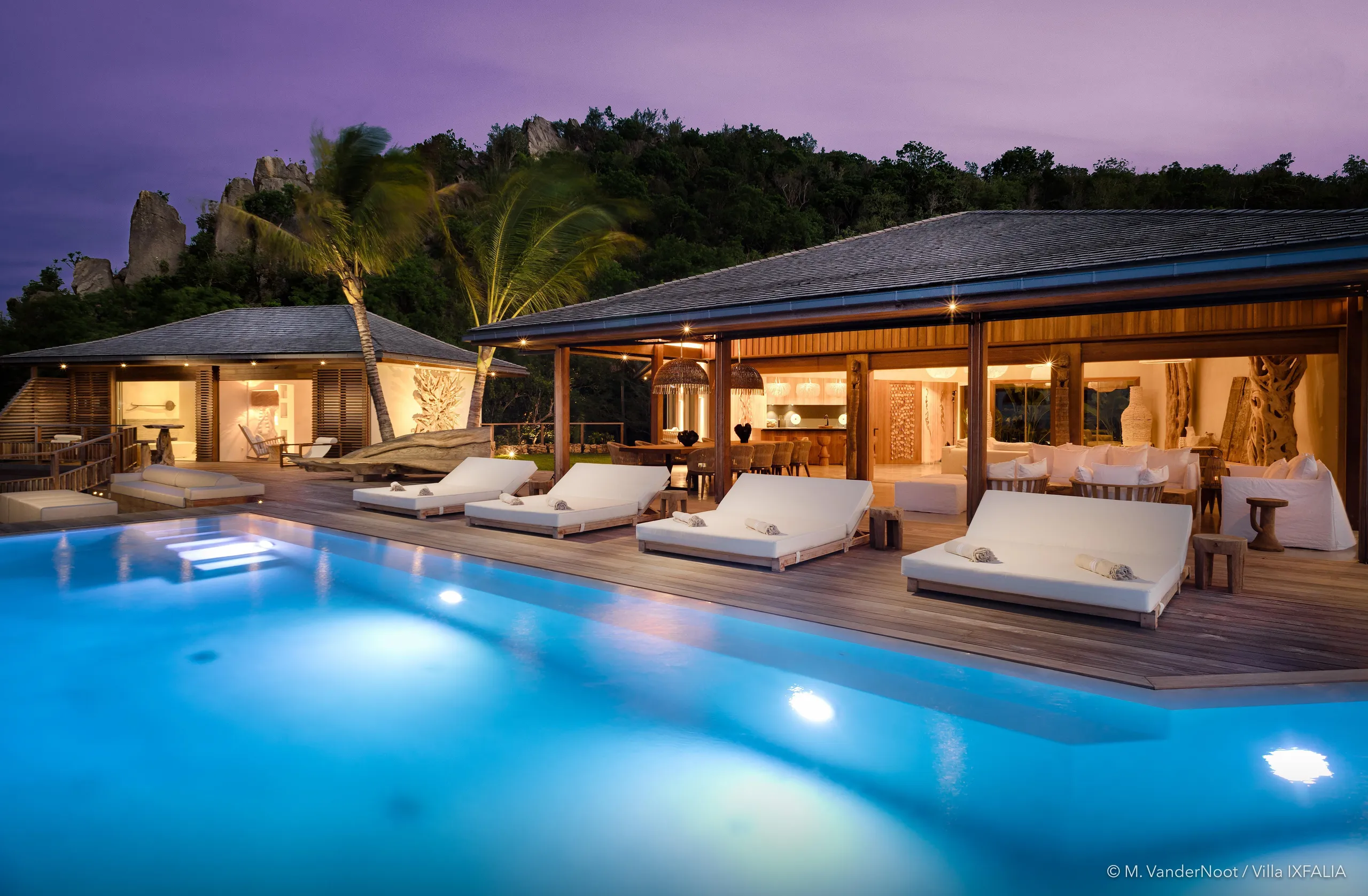 Gleaming Tropical Paradise Villa with Private Pool and Fitness Center — photograph 9
