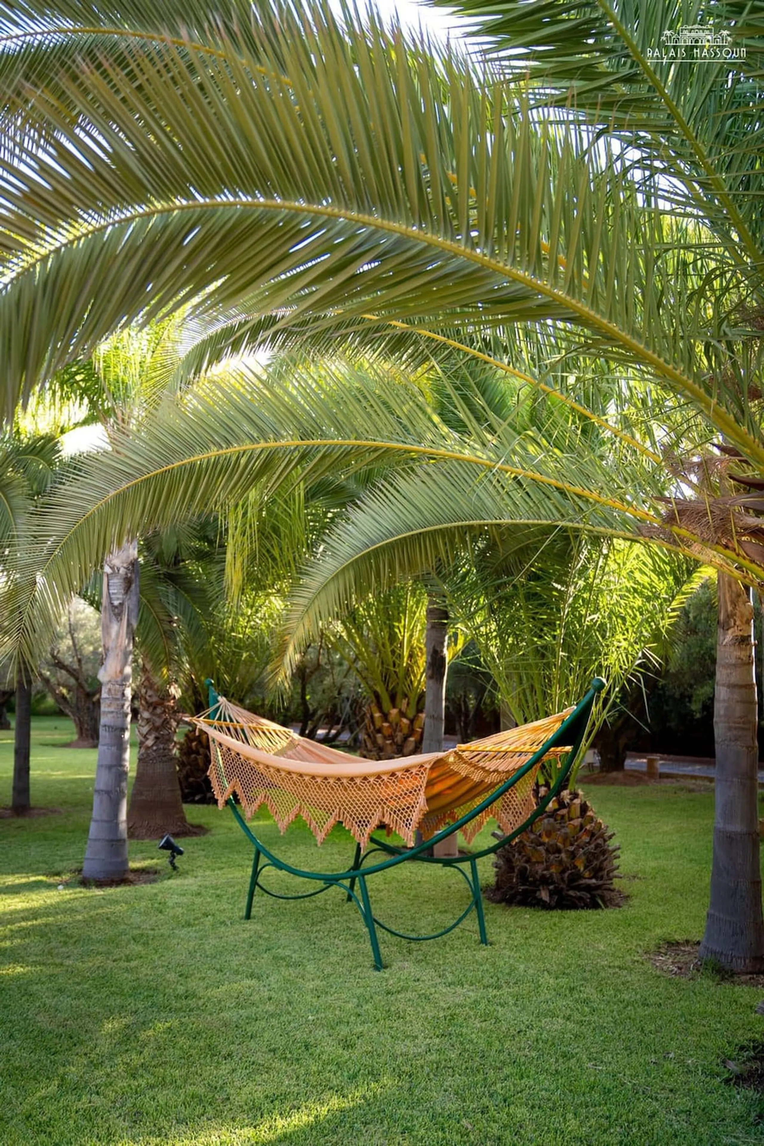 Opulent Marrakech Escape with Pool, Hammam, and Mountain Views — photograph 4