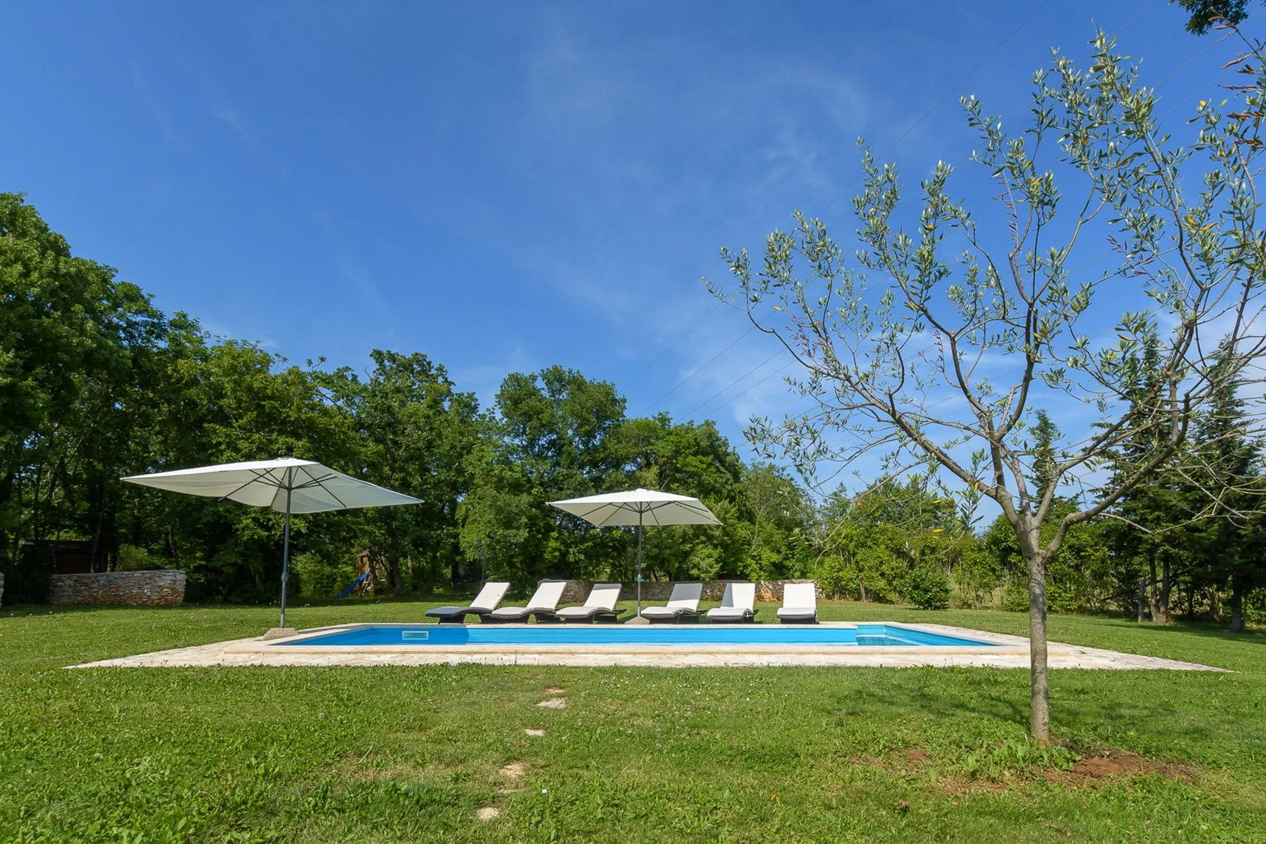 Ornate Villa with L Shaped- Pool with Serene Park Views from — photograph 10