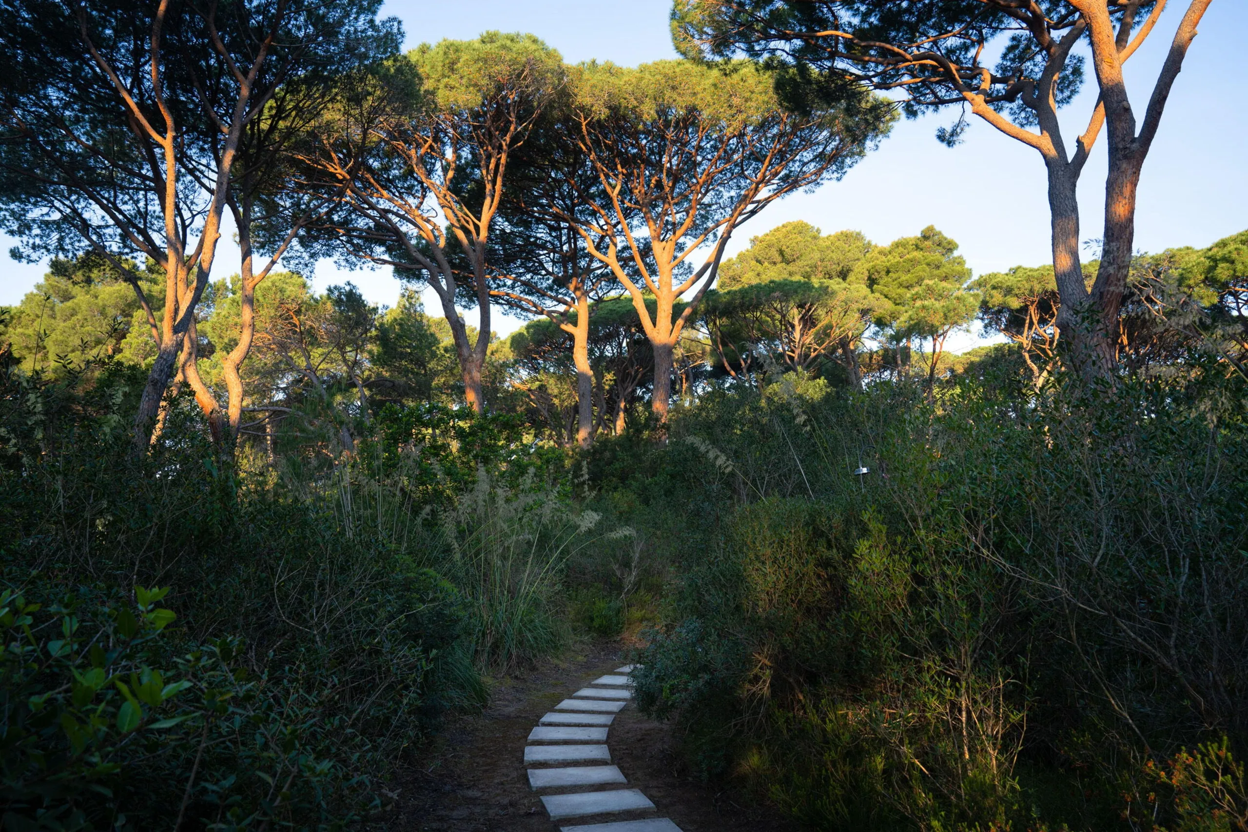 Gleaming Roccamore Estate with Private Pool and Lush Gardens — photograph 11