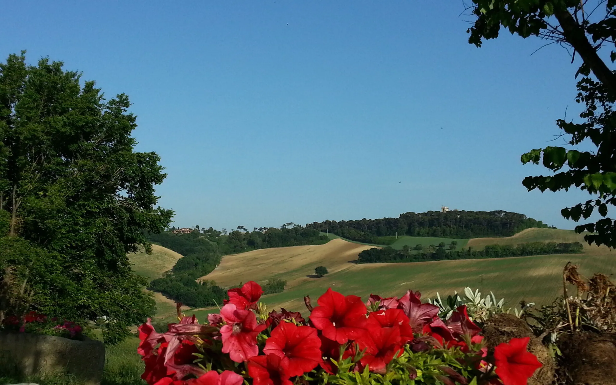 Enchanting Countryside Villa with Private Pool and Greenery Views — photograph 4