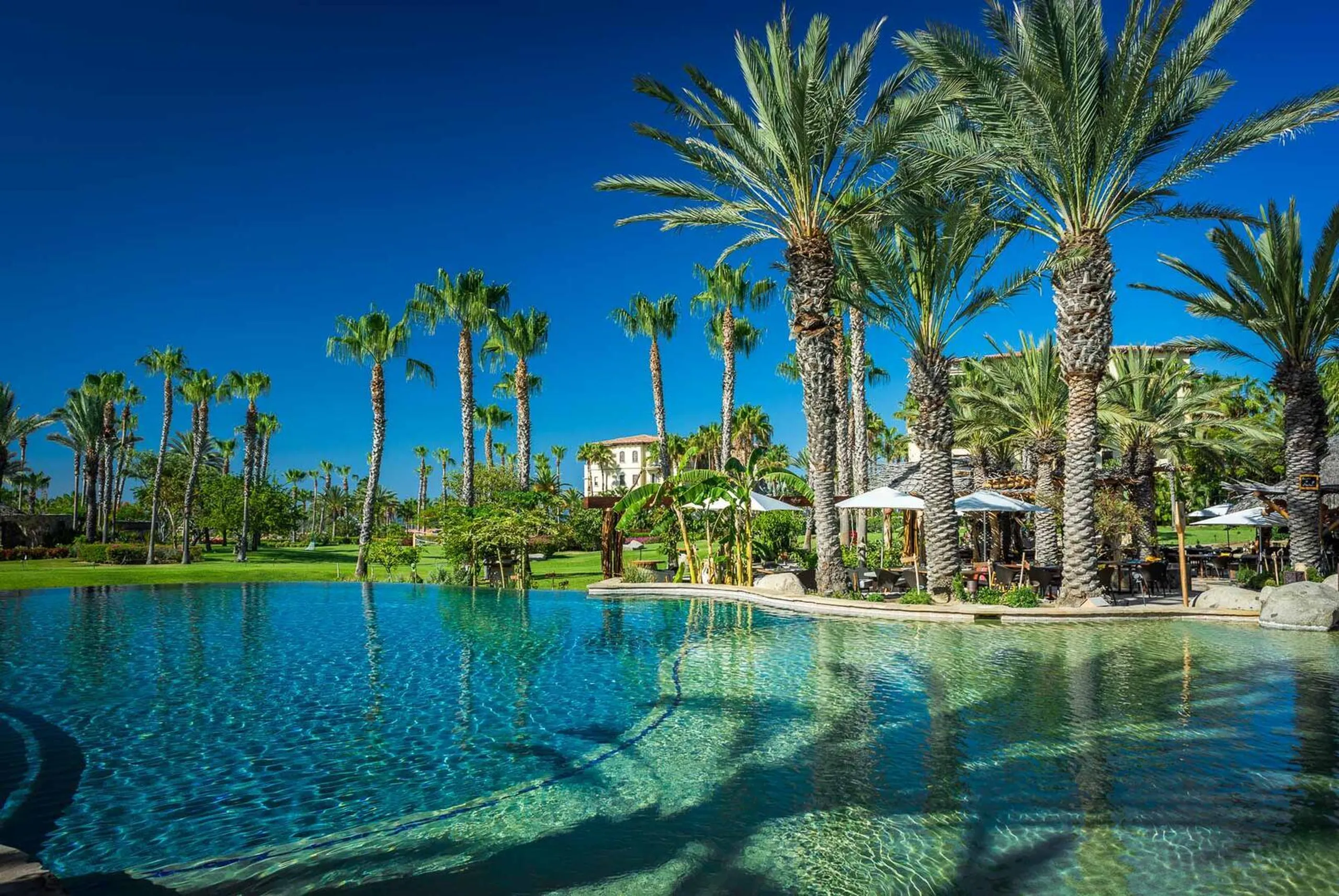 Elegant 4-Bedroom Villa in Esperanza Private Residencies and Stunning Ocean Views — photograph 10