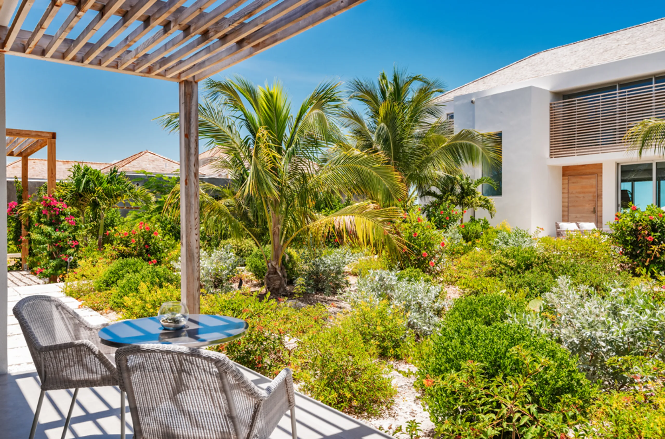 Stunning Contemporary Design Long Bay Villa with Infinity Pool and Views — photograph 8