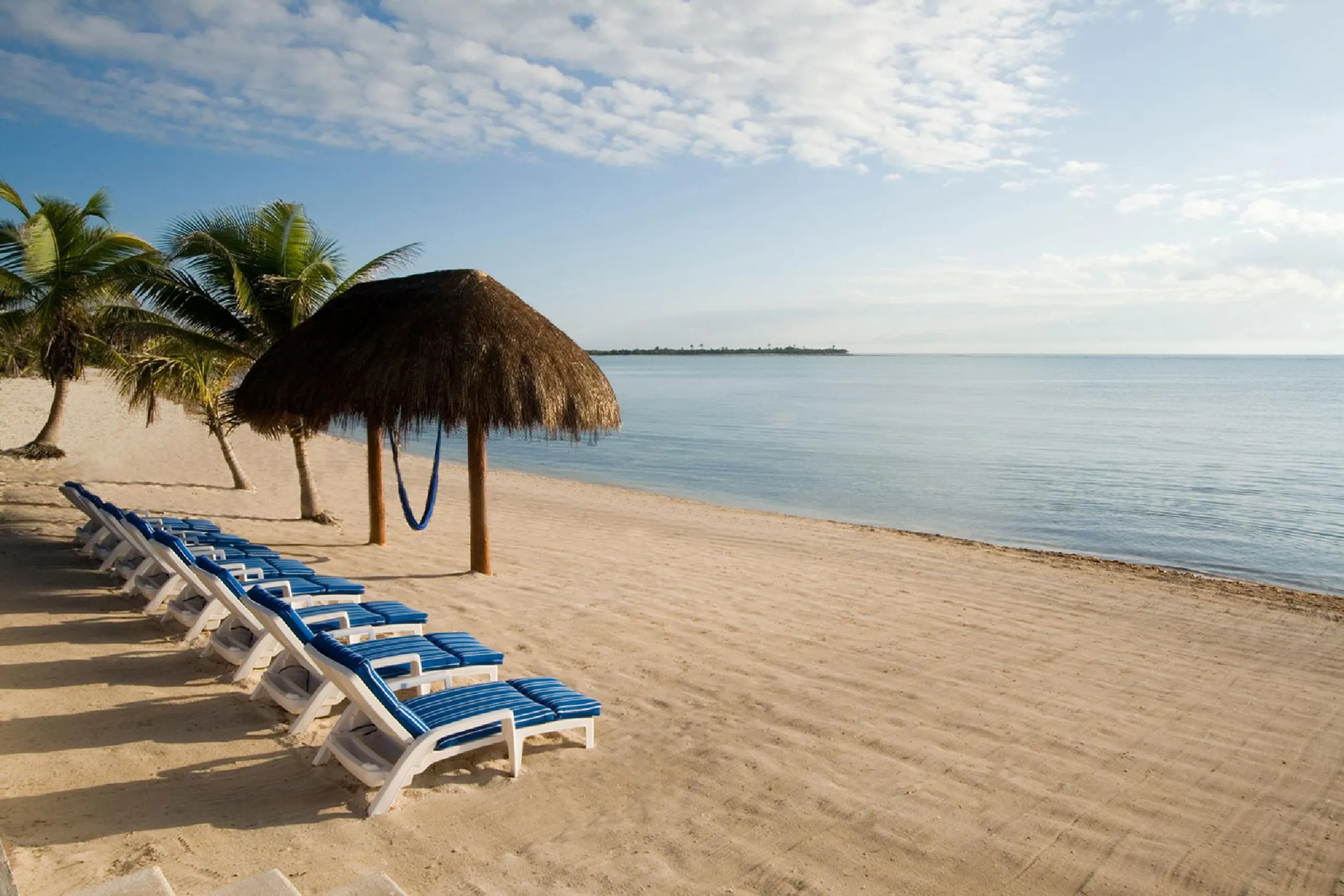 Exquisite Lush Tropical Soliman Bay Oceanfront Estate with Private Beach and Grand Pool — photograph 12
