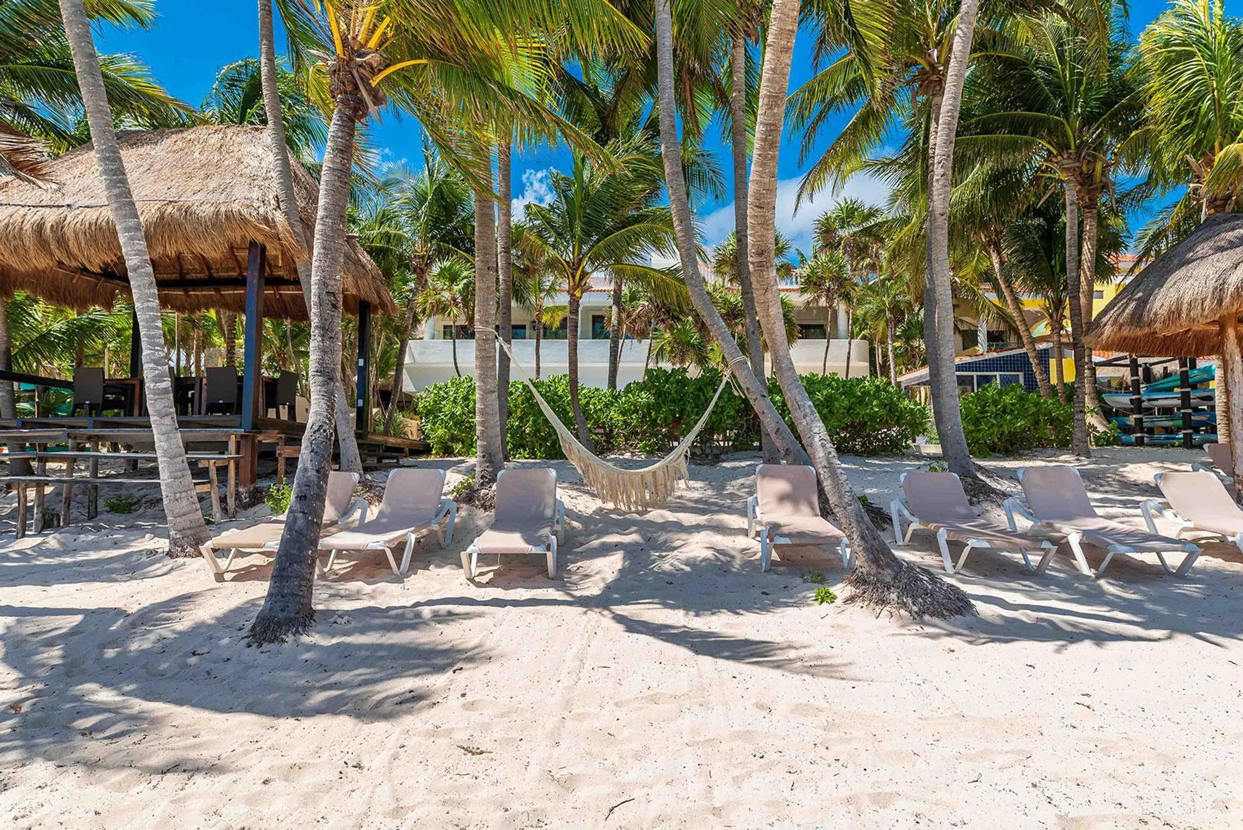 Luxurious Soliman Bay Ocean Front Estate with Private Pool and Stunning Ocean Views — photograph 12