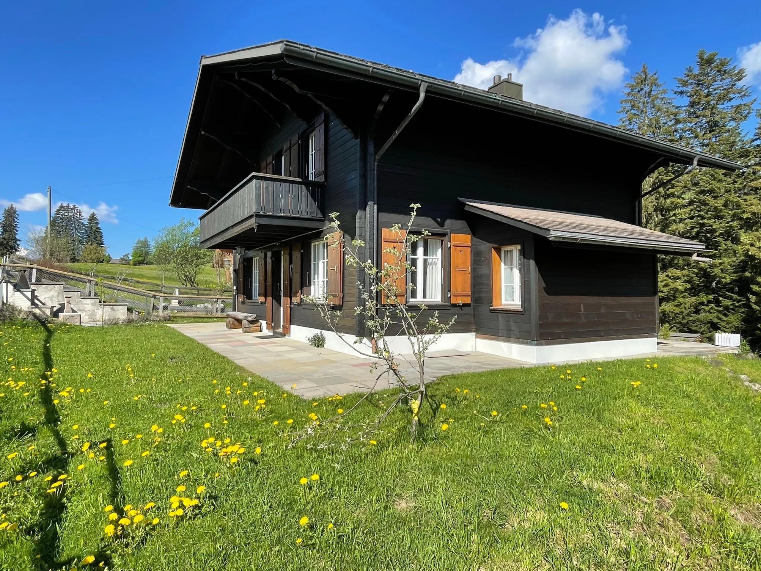 Sophisticated Saanen Chalet with Fireplace and Sun Deck — photograph 4