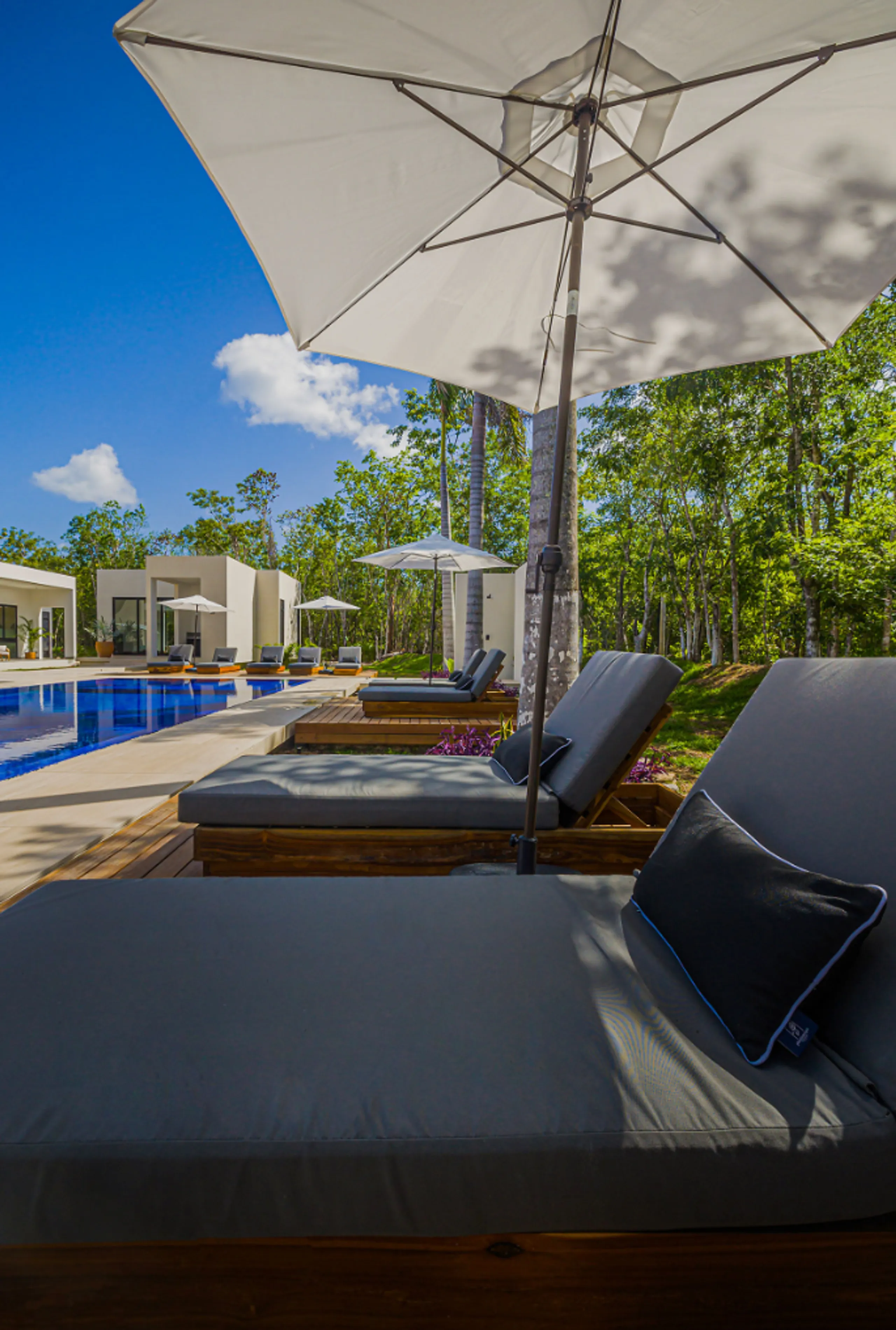 Grandiose Contemporary Architectural Villa with Pool and Jungle Views — photograph 10