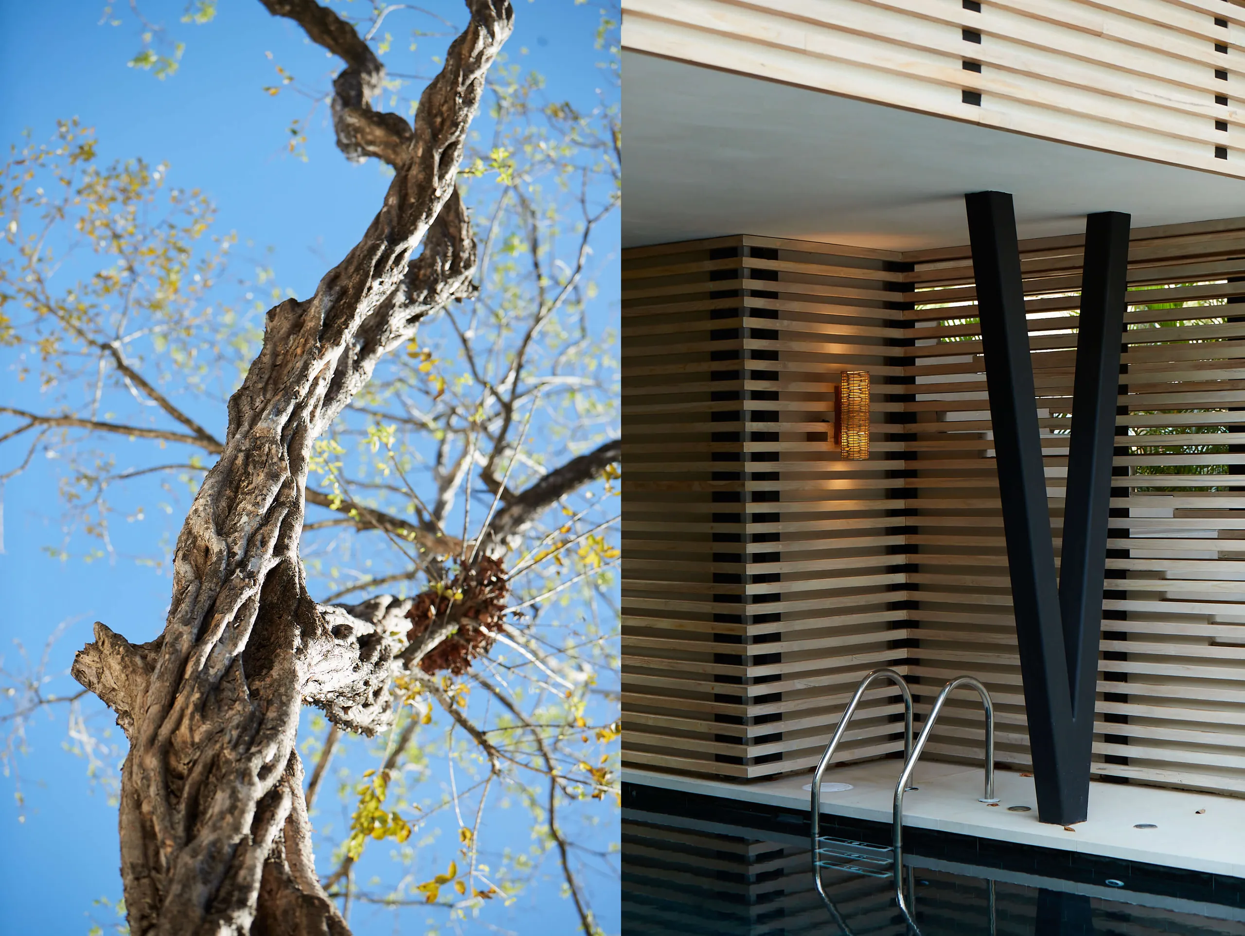 Luxe Nosara Villa with Private 25m Pool, and Surf Access — photograph 6