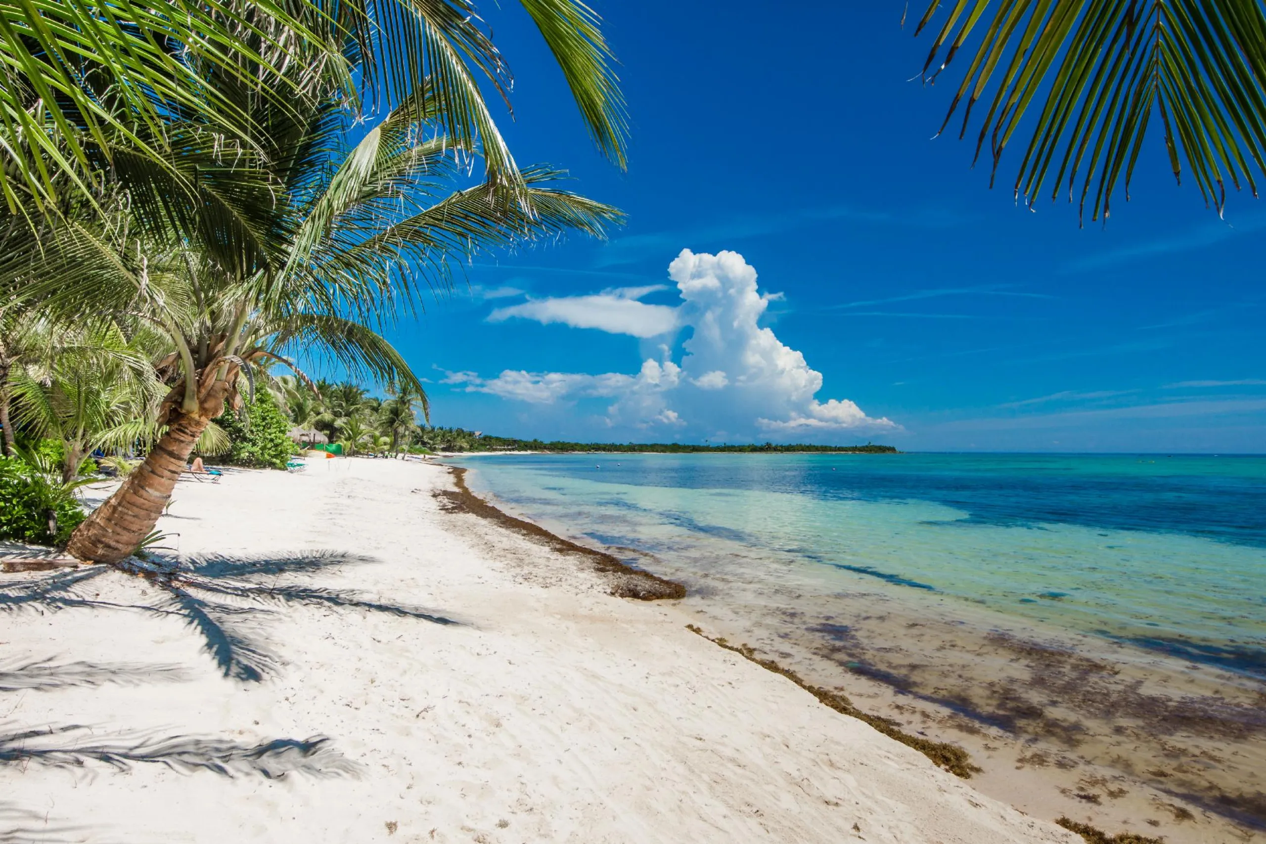 Luxurious Soliman Bay 12 BDR Beachfront Estate with Private Pool — photograph 4