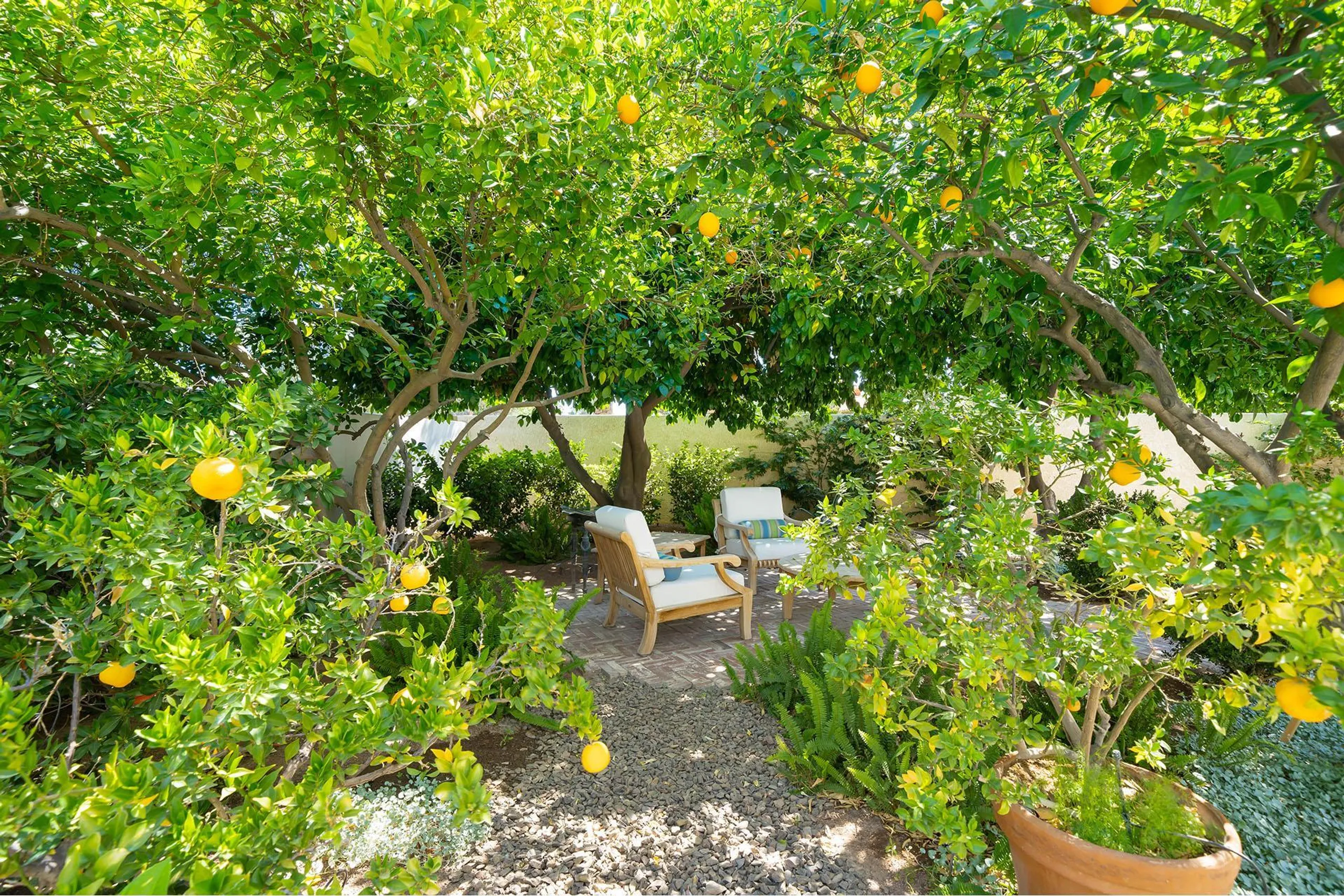 Peaceful Palm Springs Retreat with Private Pool and Lush Garden Grounds — photograph 5