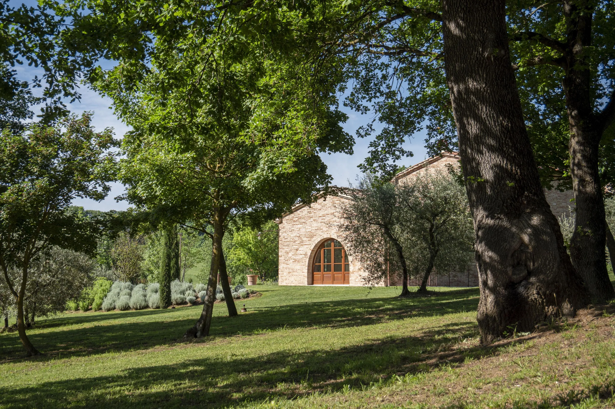Classical Italian Estate with Invigorating Pool and Vineyard Views — photograph 12