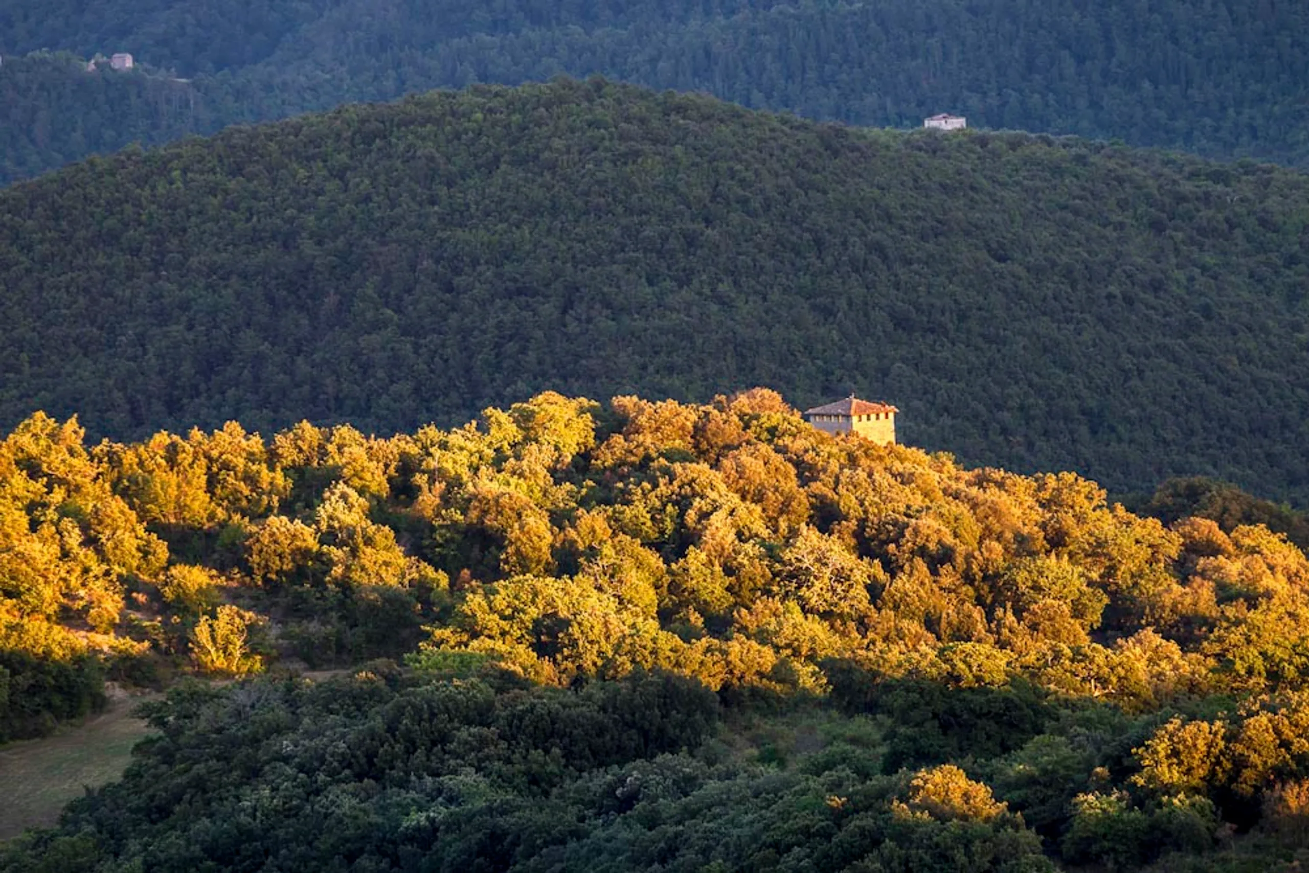 Stunning 14th Century Estate with Pool and Breathtaking Mountain Views — photograph 12