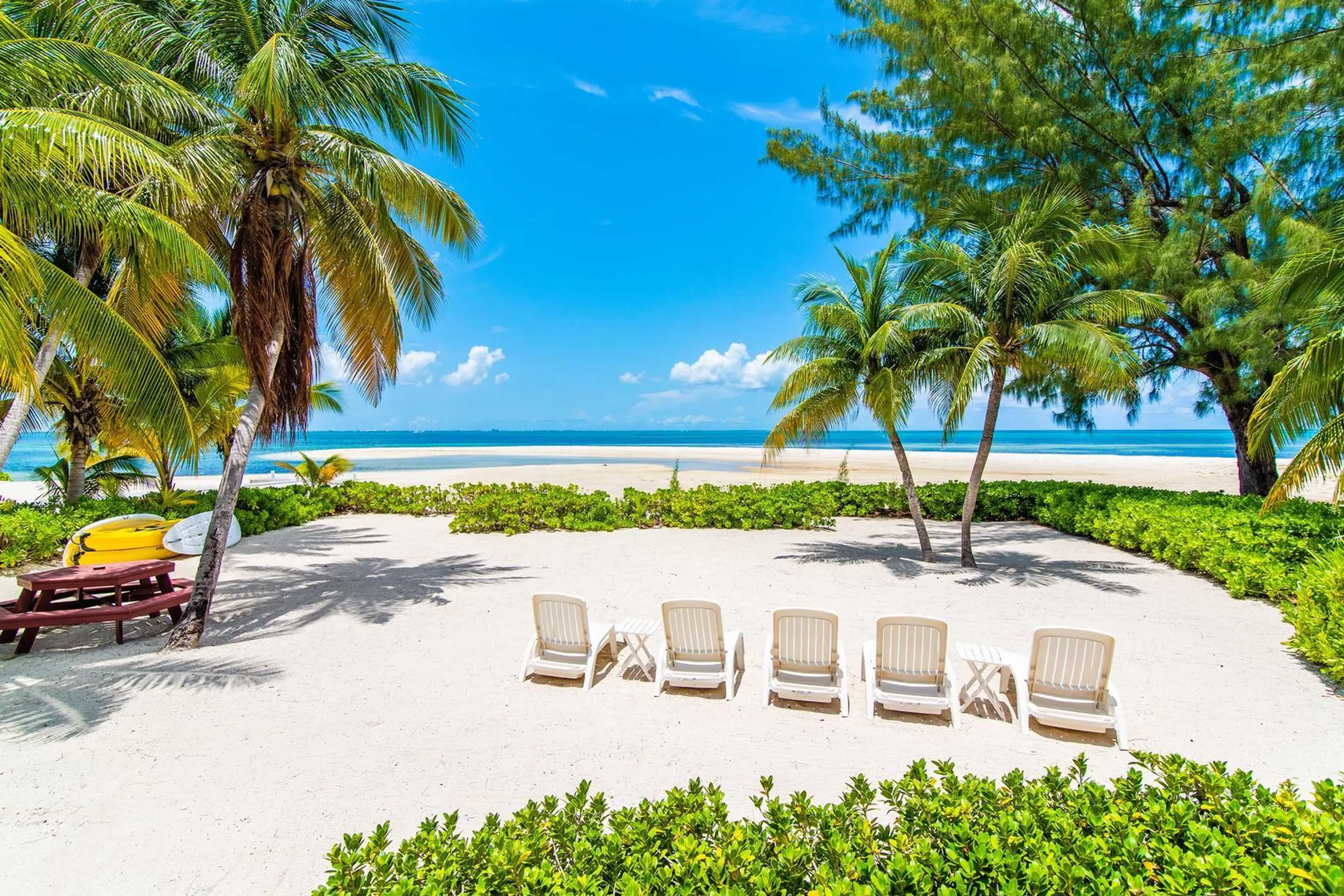 Elegant and Serene Luxe Cayman Beach Front Villa with Private Pool — photograph 3