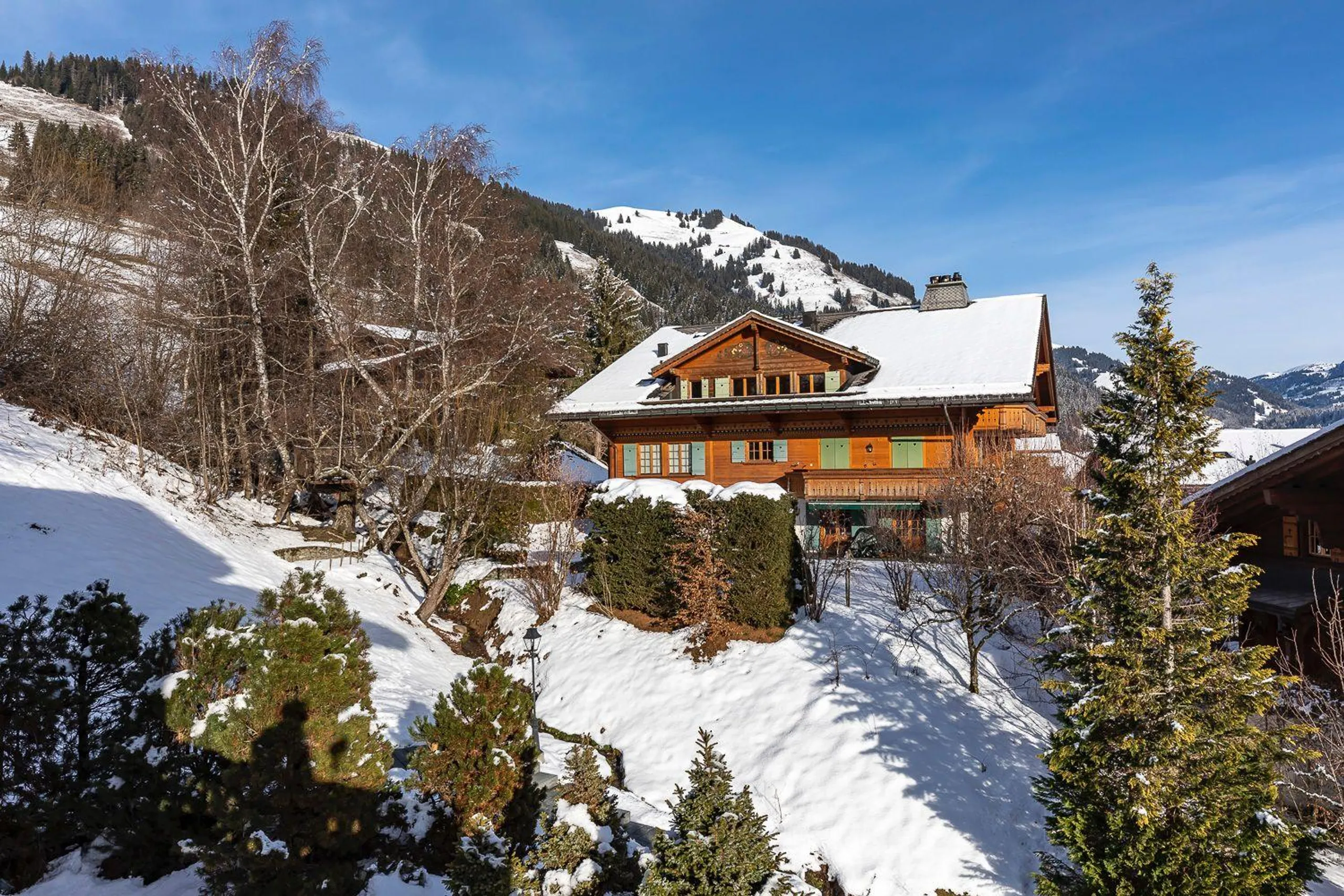 Elegant Alpine Retreat with Panoramic Views — photograph 2