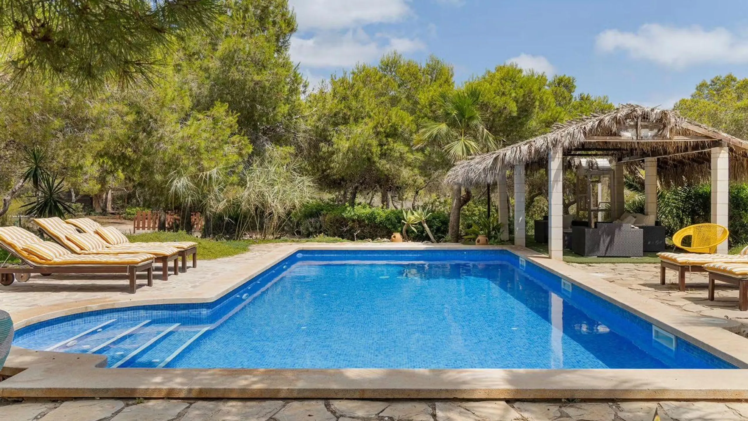 Sun-Kissed Formentera Villa with Private Pool, Palm Gardens & Beach Access — photograph 4