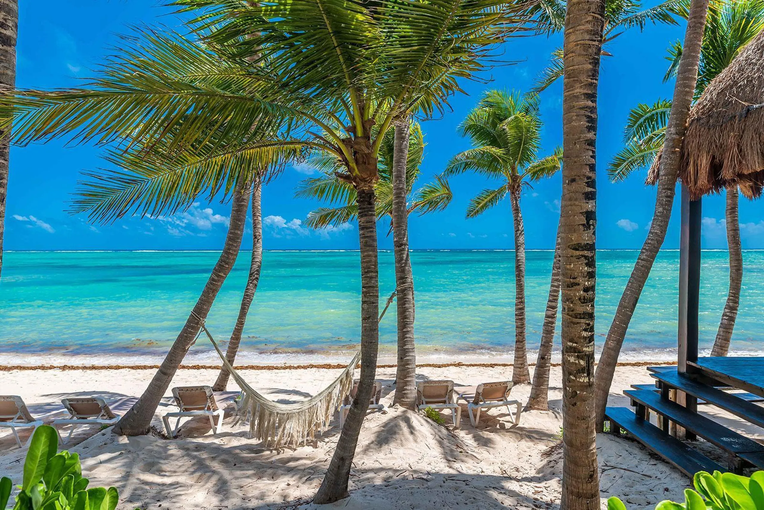 Luxurious Soliman Bay Ocean Front Estate with Private Pool and Stunning Ocean Views, Soliman Bay