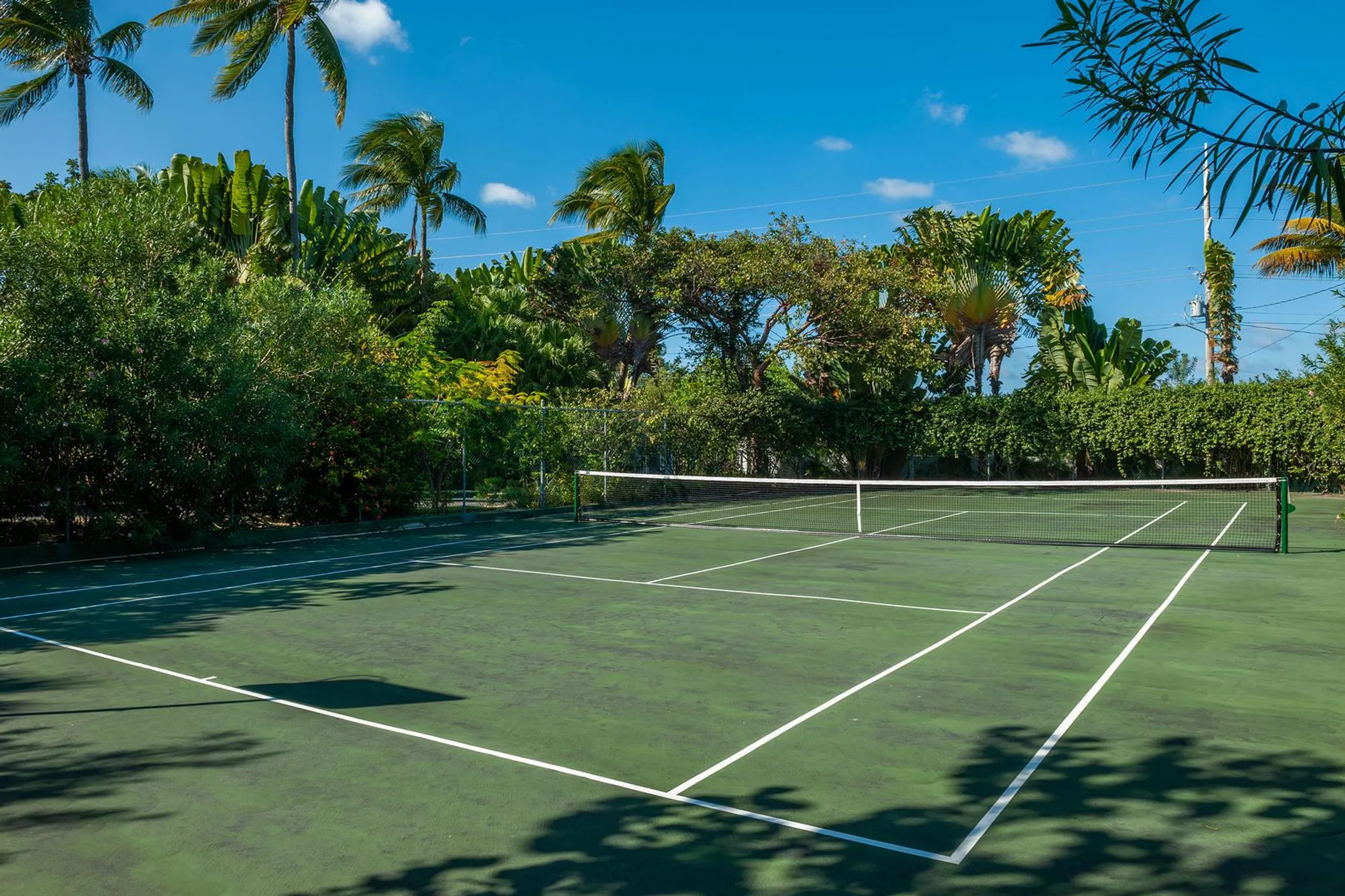 Pristine Pease Bay Estate with Invigorating Pool, Tennis Court, and Walks to Beach — photograph 5