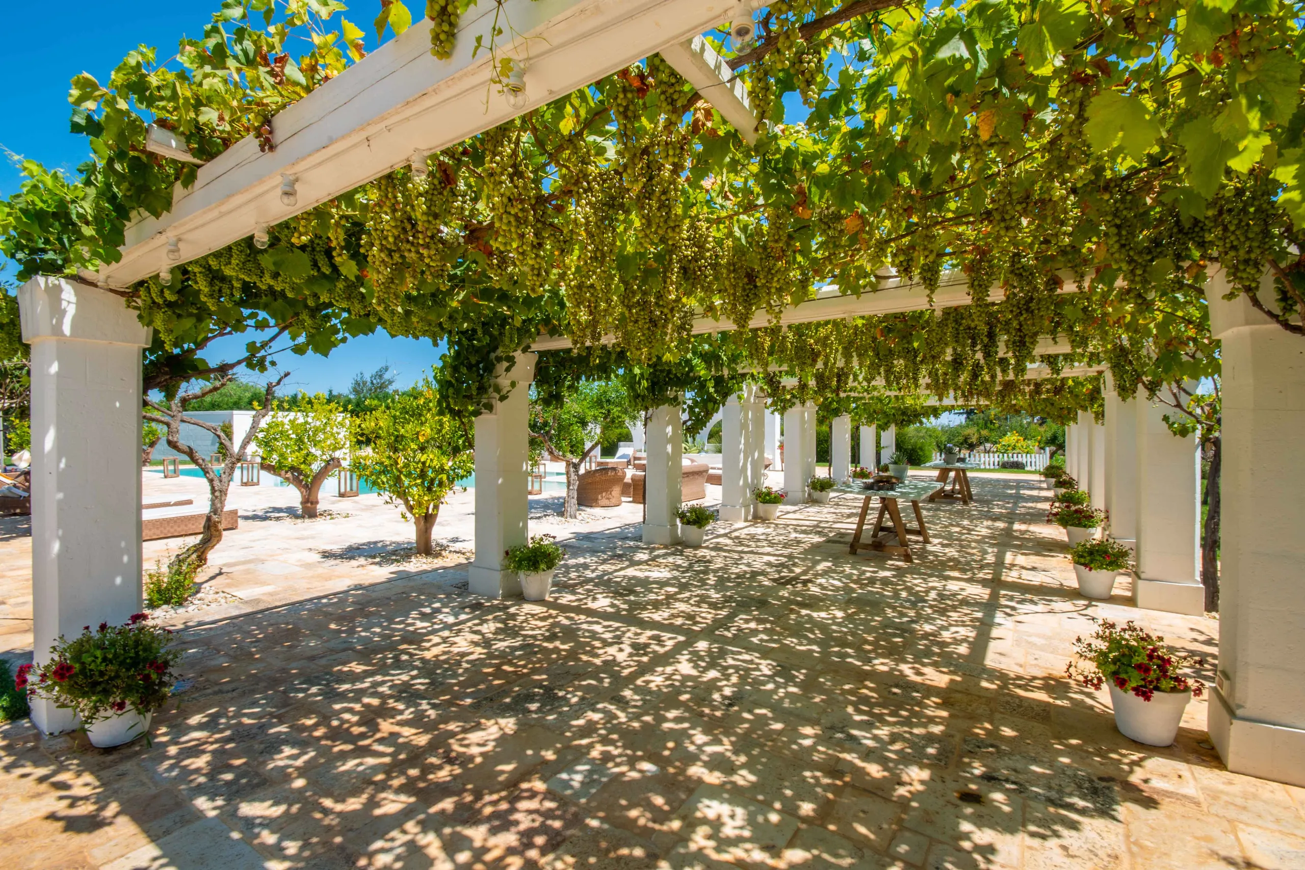 Experience Timeless Luxury: Rent a 19th Century Masseria in Polignano a Mare for Your Dream Holiday in Puglia — photograph 3
