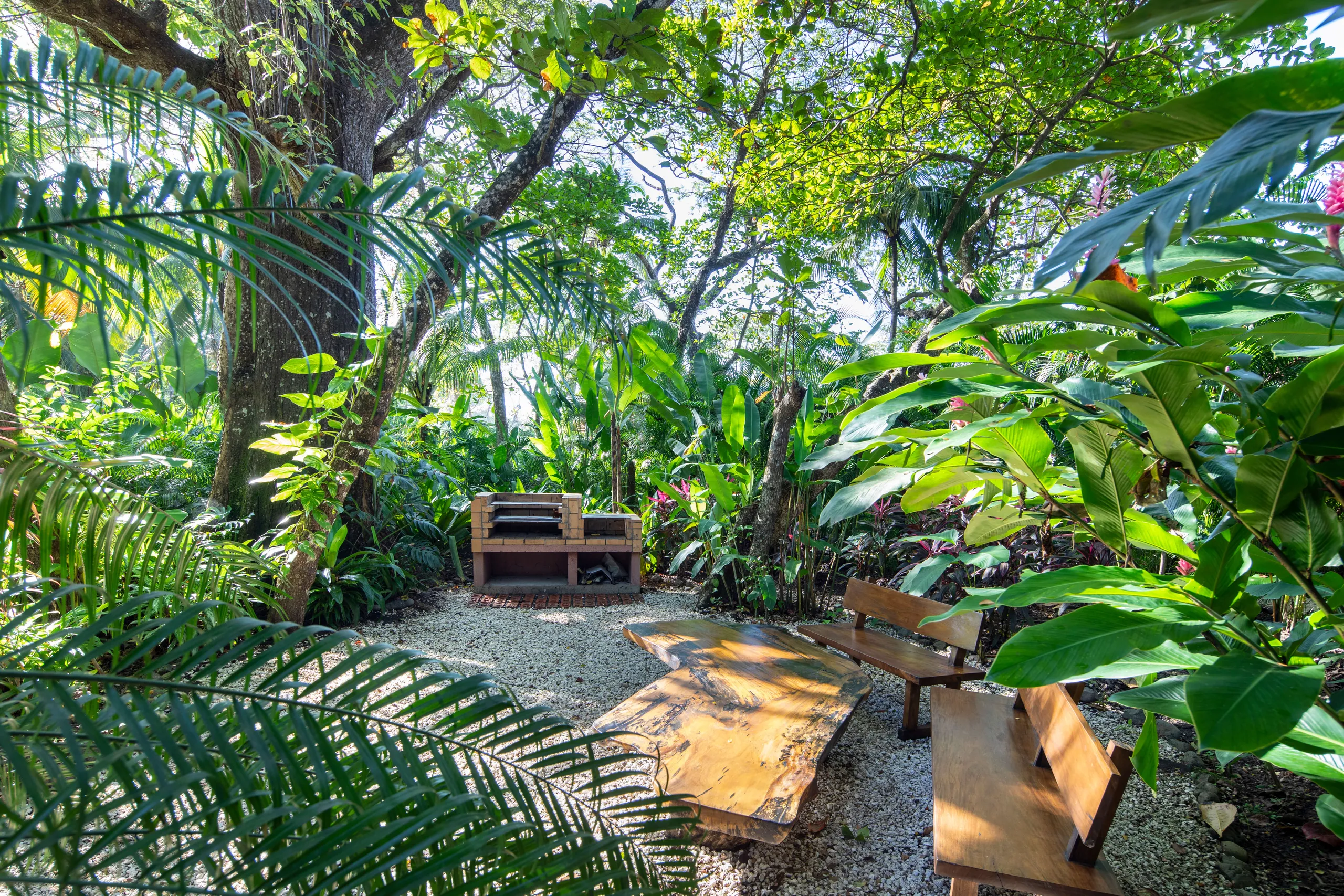 Tropical 4 Bedroom Villa with Private Pool, Beach Access, and Lush Gardens — photograph 12