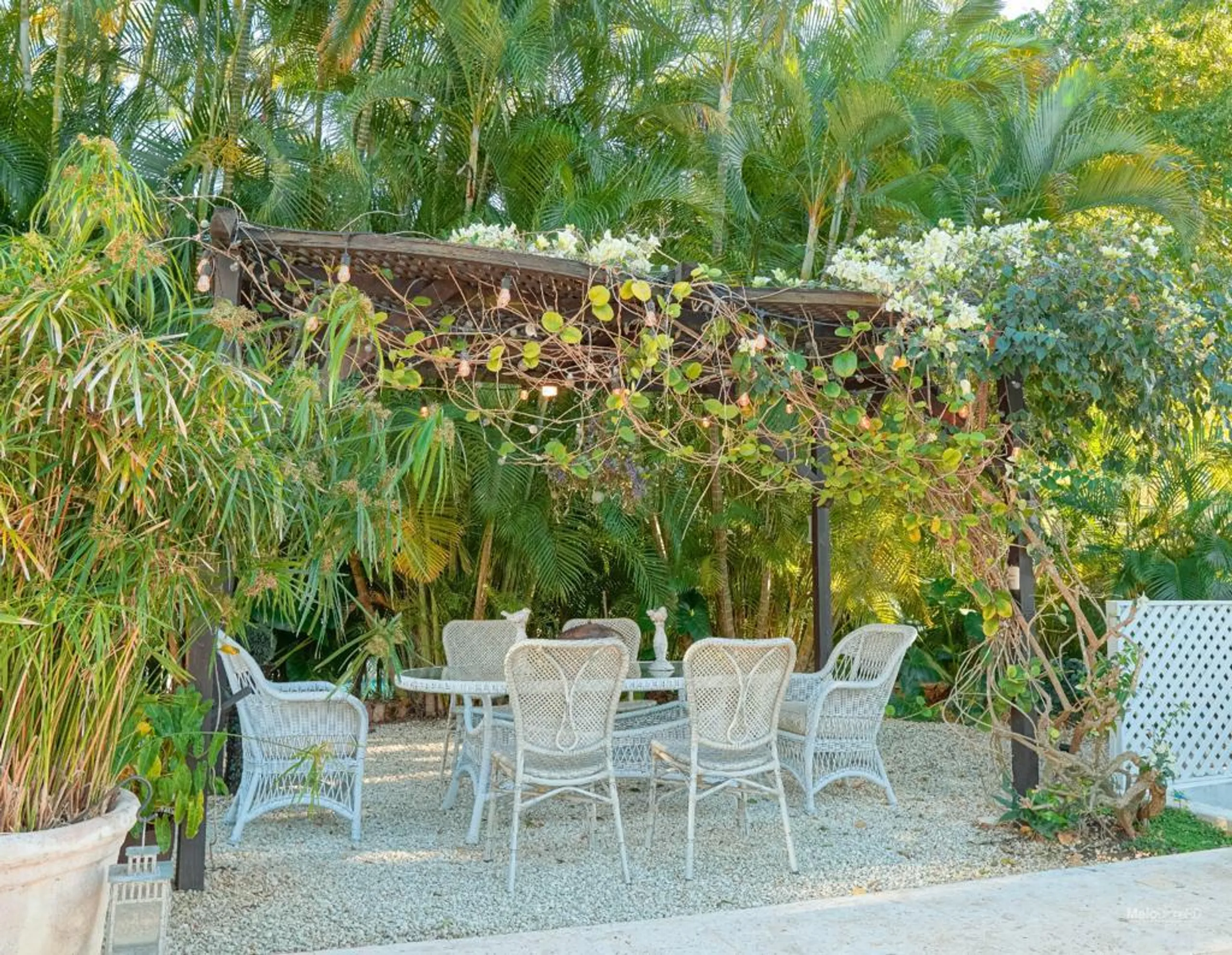 Chic and Relaxing Retreat in La Romana with Private Pool and Jacuzzi — photograph 3