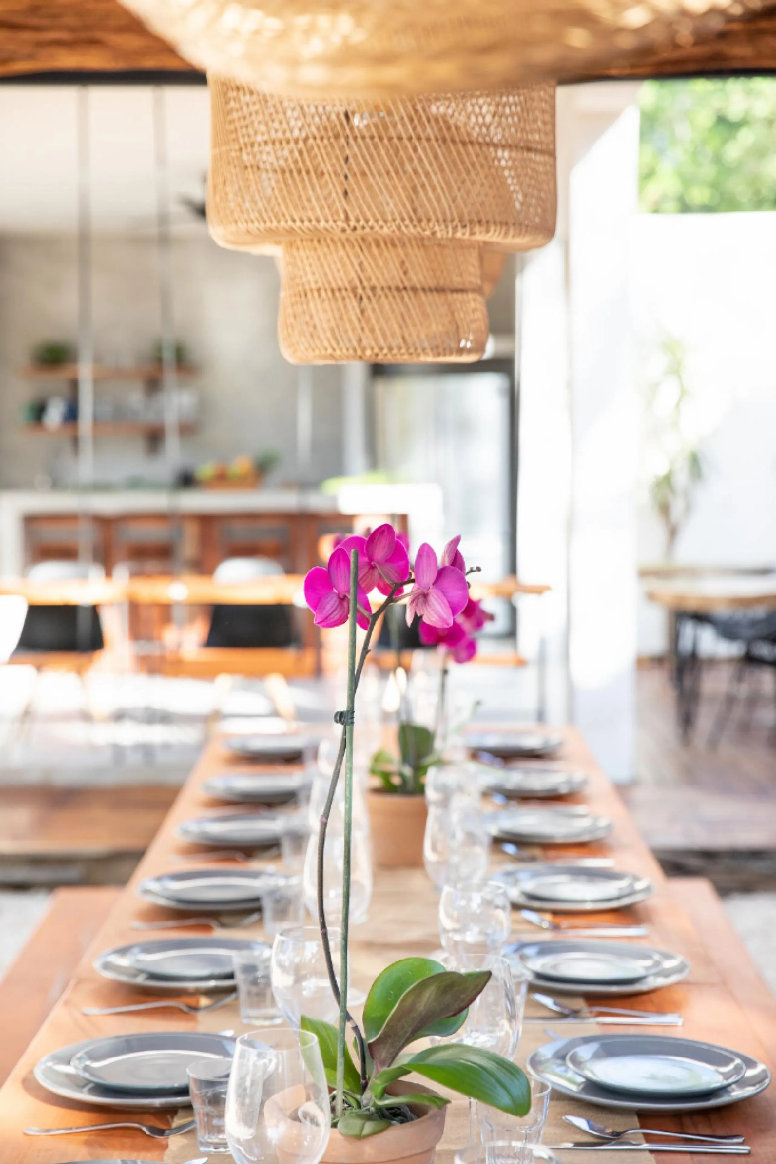 Tranquil Tulum Hacienda with Invigorating Pool and Outdoor Kitchen — photograph 8