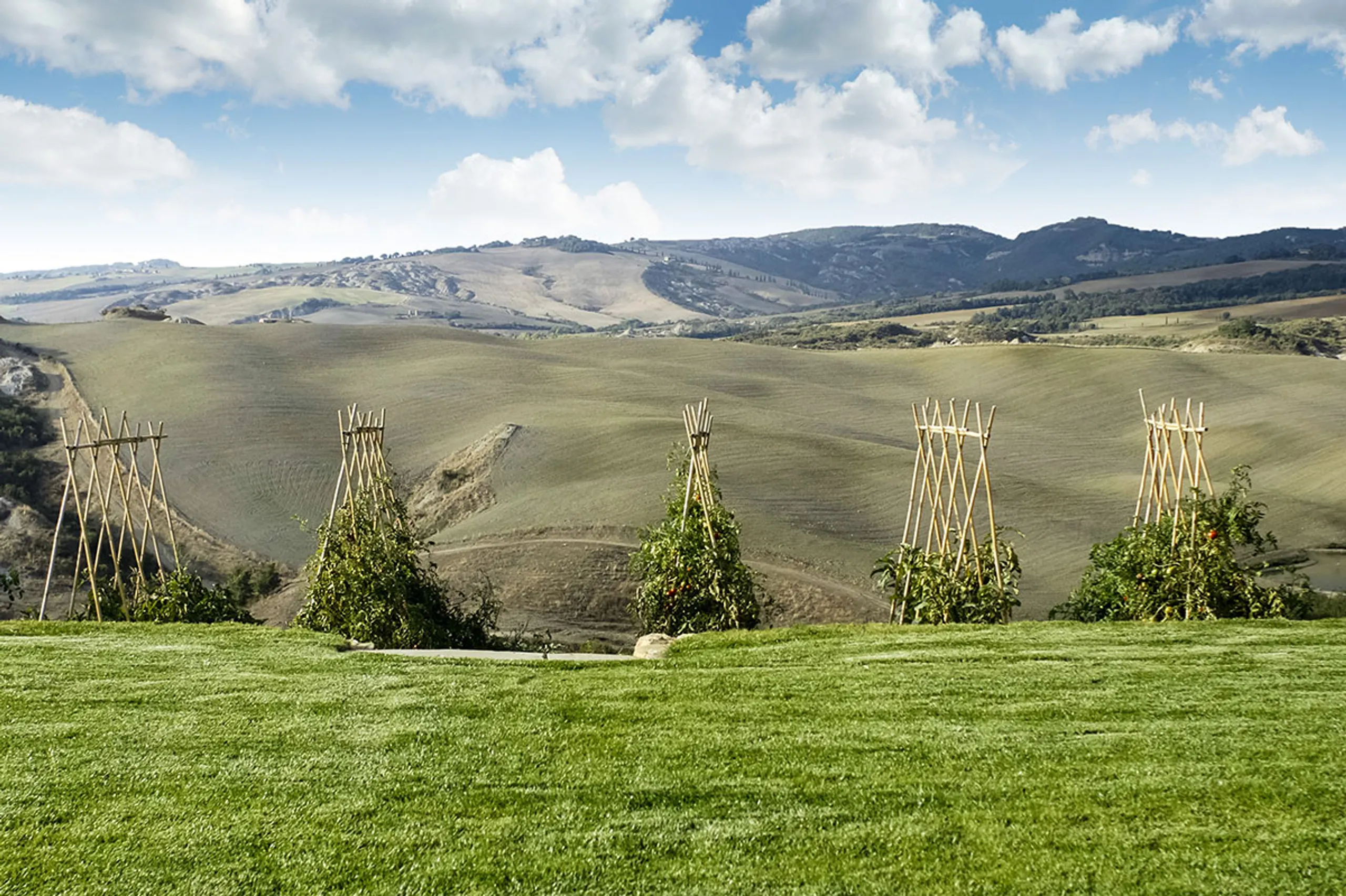 Abundant Countryside Estate with Heated Pool and Jacuzzi — photograph 7