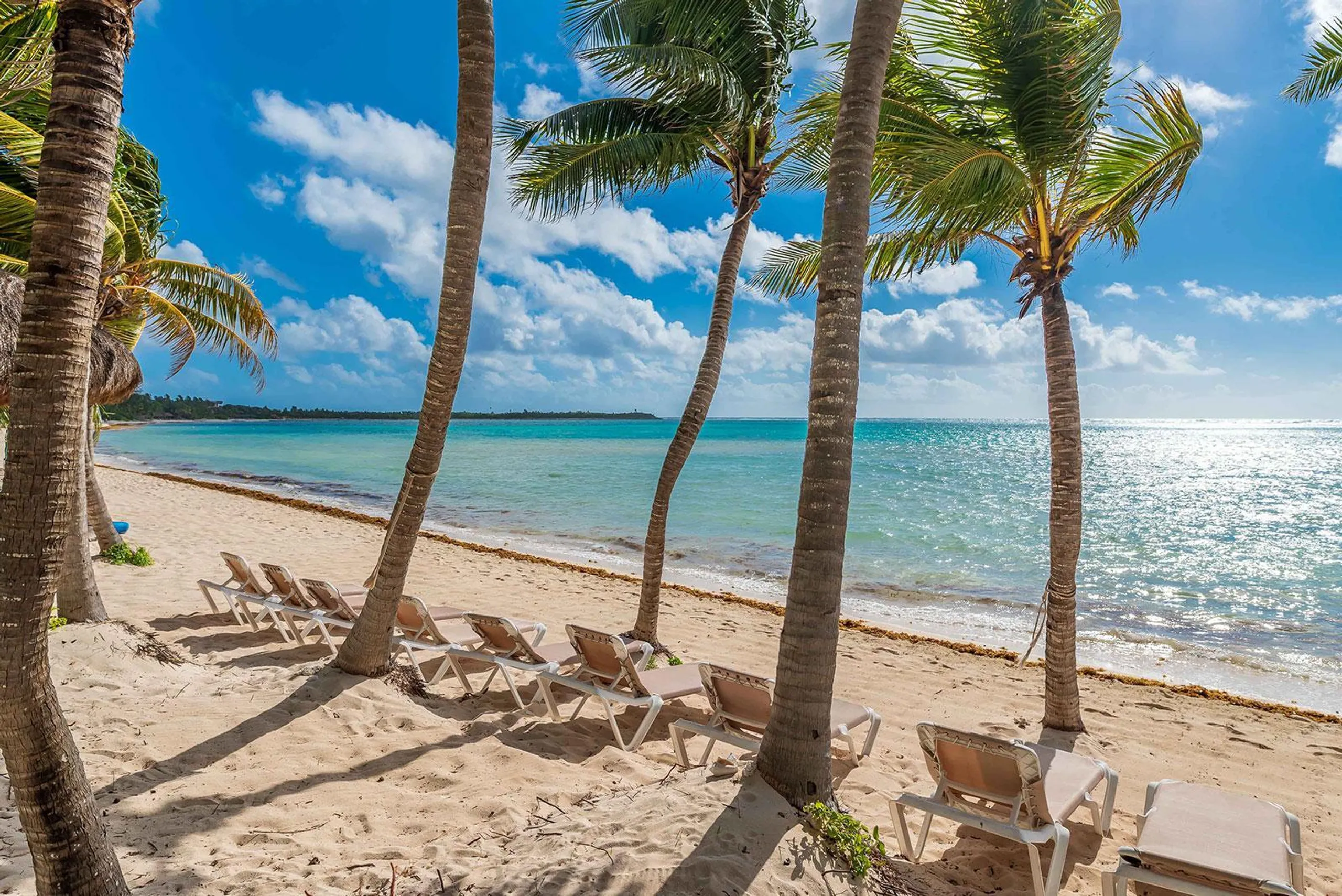 Luxurious Soliman Bay Ocean Front Estate with Private Pool and Stunning Ocean Views — photograph 10