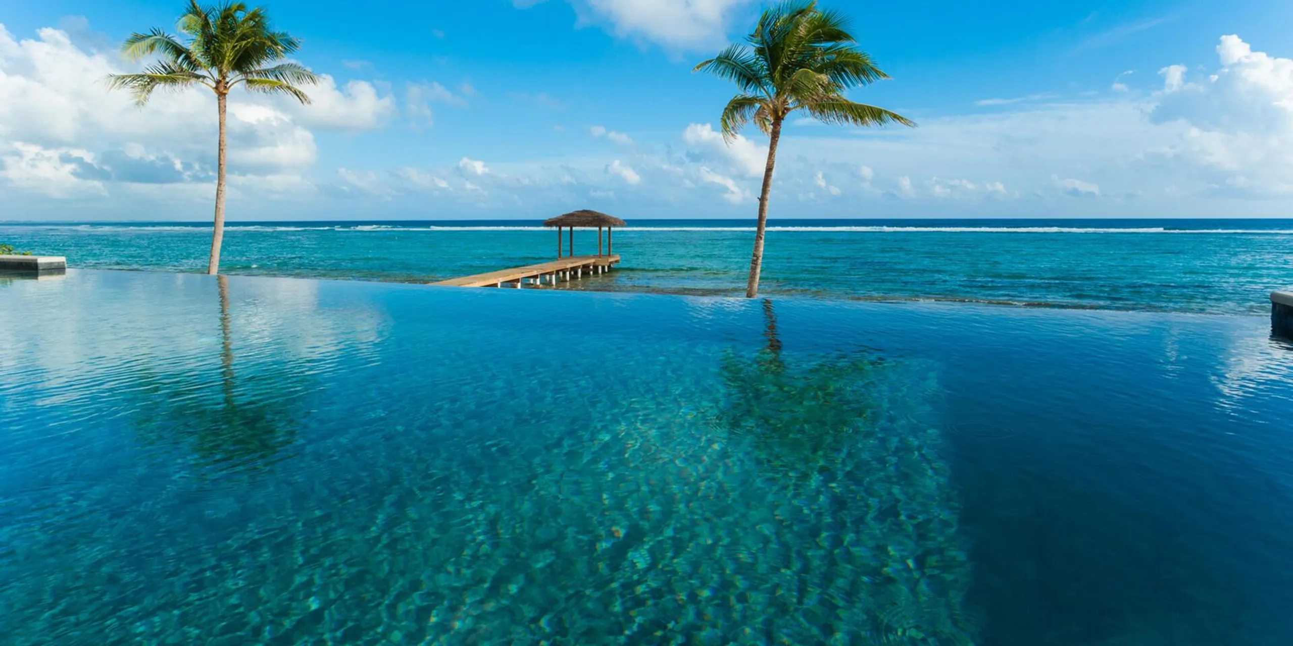 Modern Contemporary Grand Cayman Ocean Front Villa with Infinity Pool — photograph 4