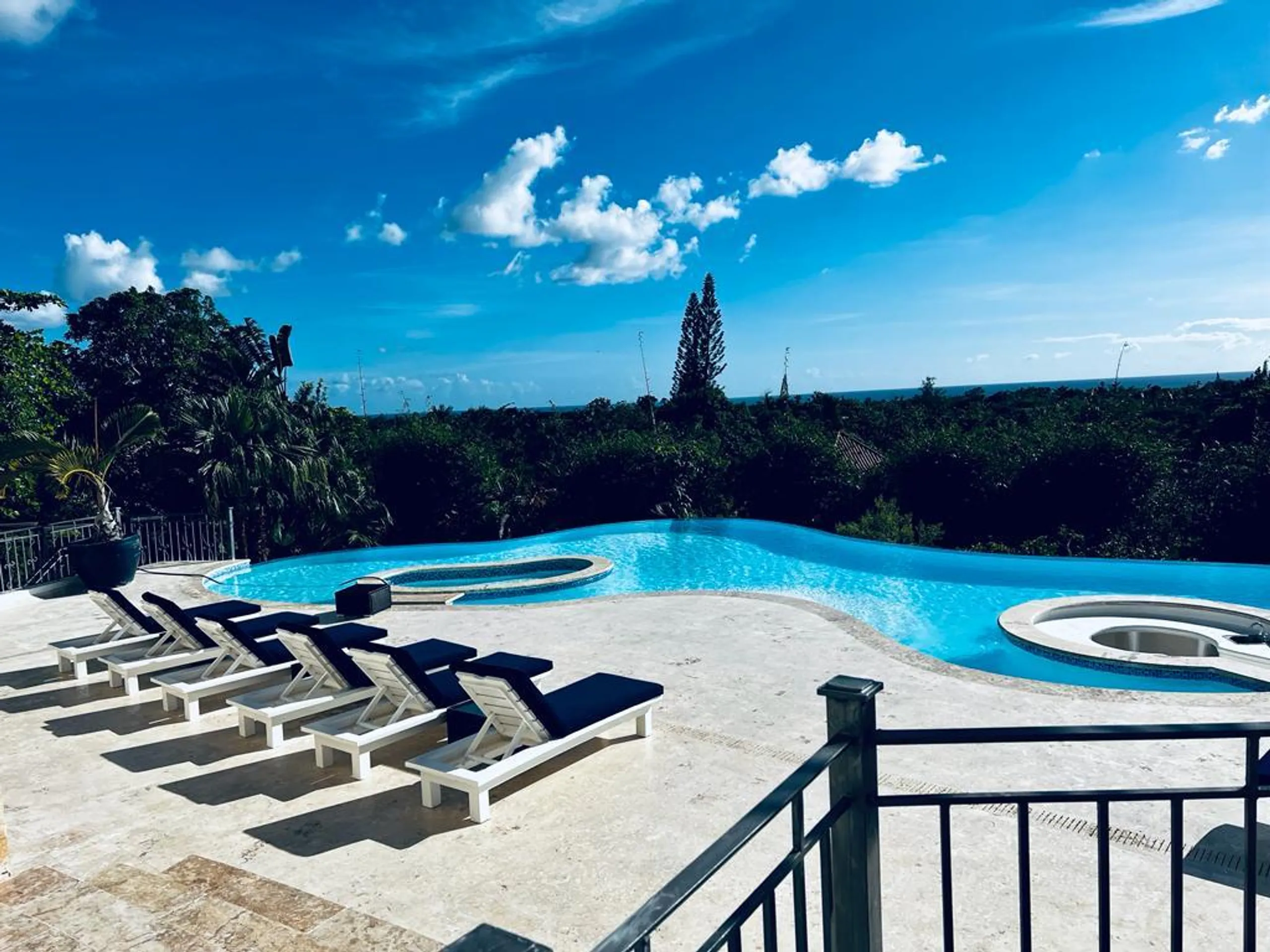 Ultimate Caribbean Seaview Retreat with Infinity Edge Pool, Jacuzzi and Spacious Grounds — photograph 4