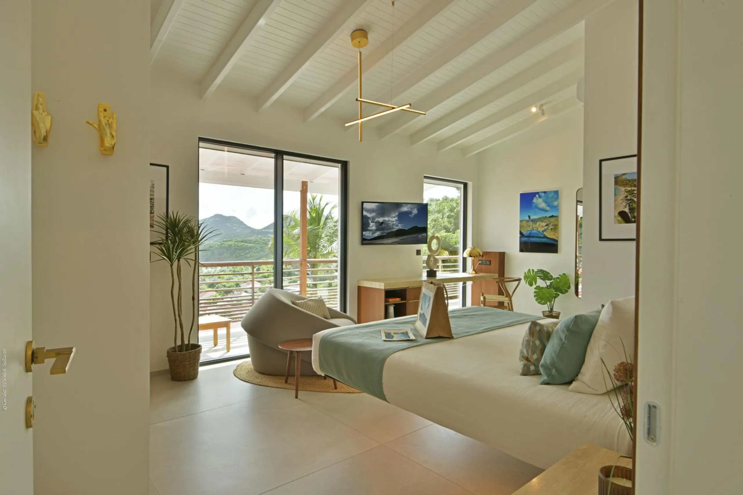 Majestic Anse des Cayes Villa with Private Pool — photograph 6