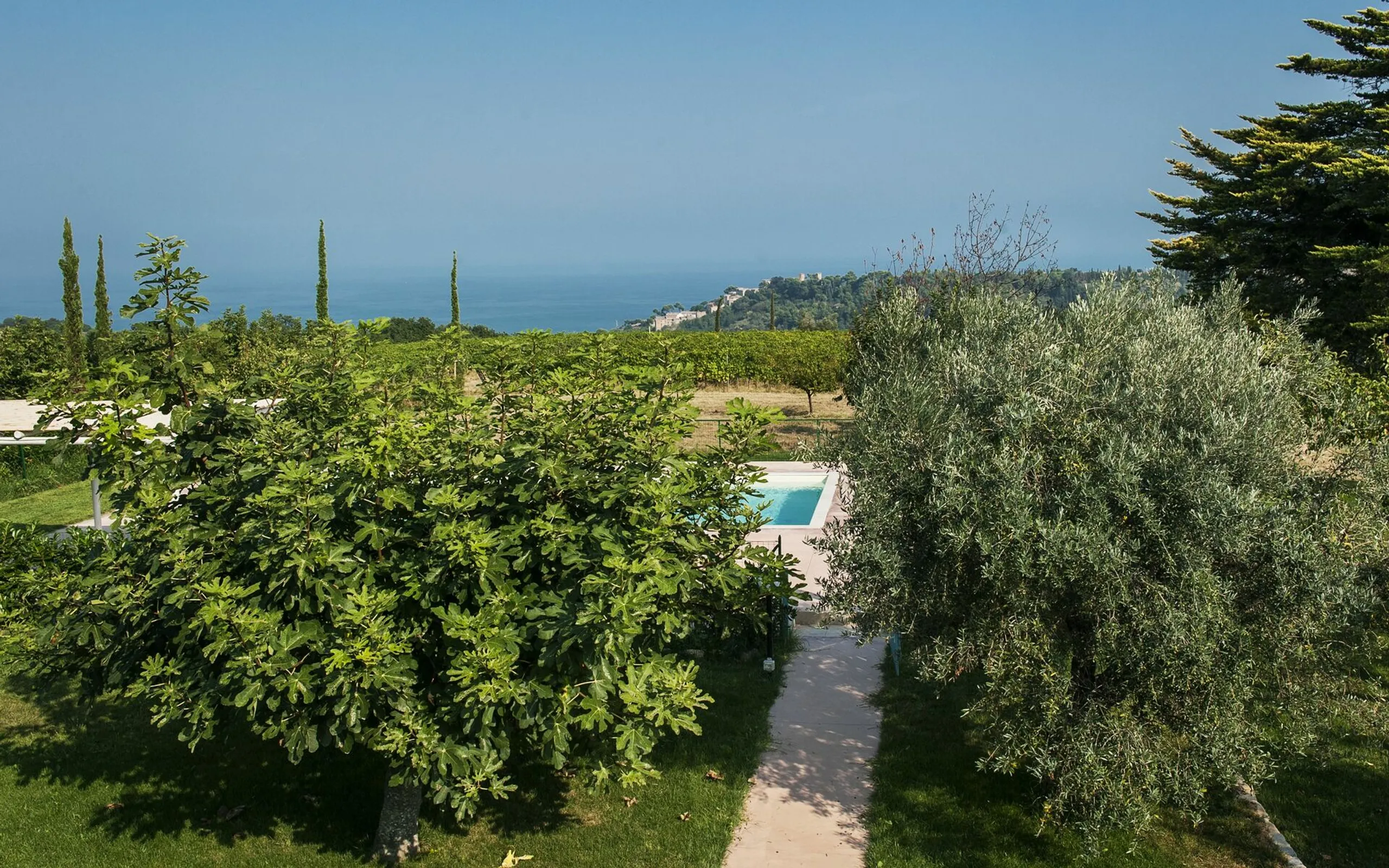 Marvelous Hilltop Villa with Great Views to the Adriatic Sea and Mountains — photograph 9