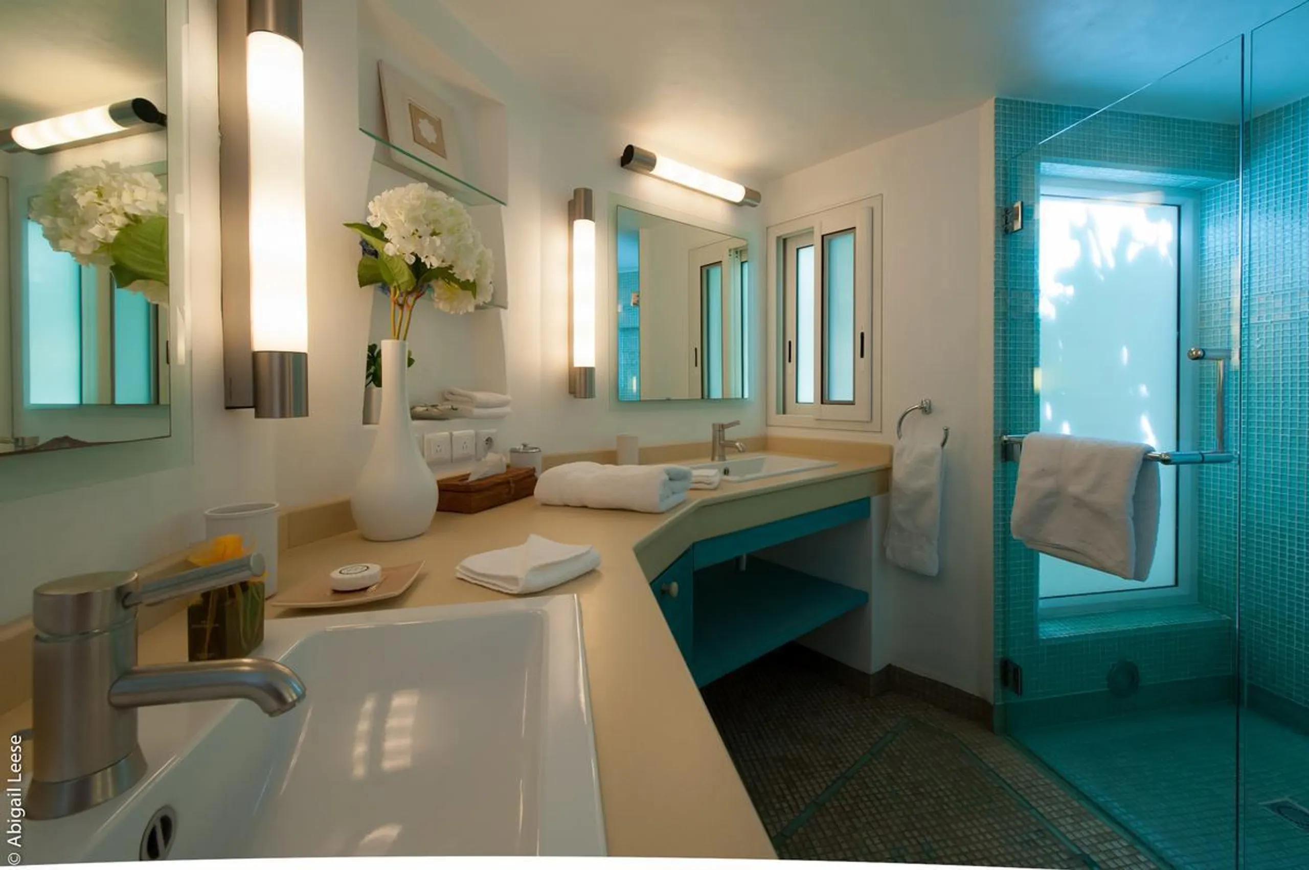 Swanky Seaside Villa with Private Pool and Walks to Beach — photograph 11