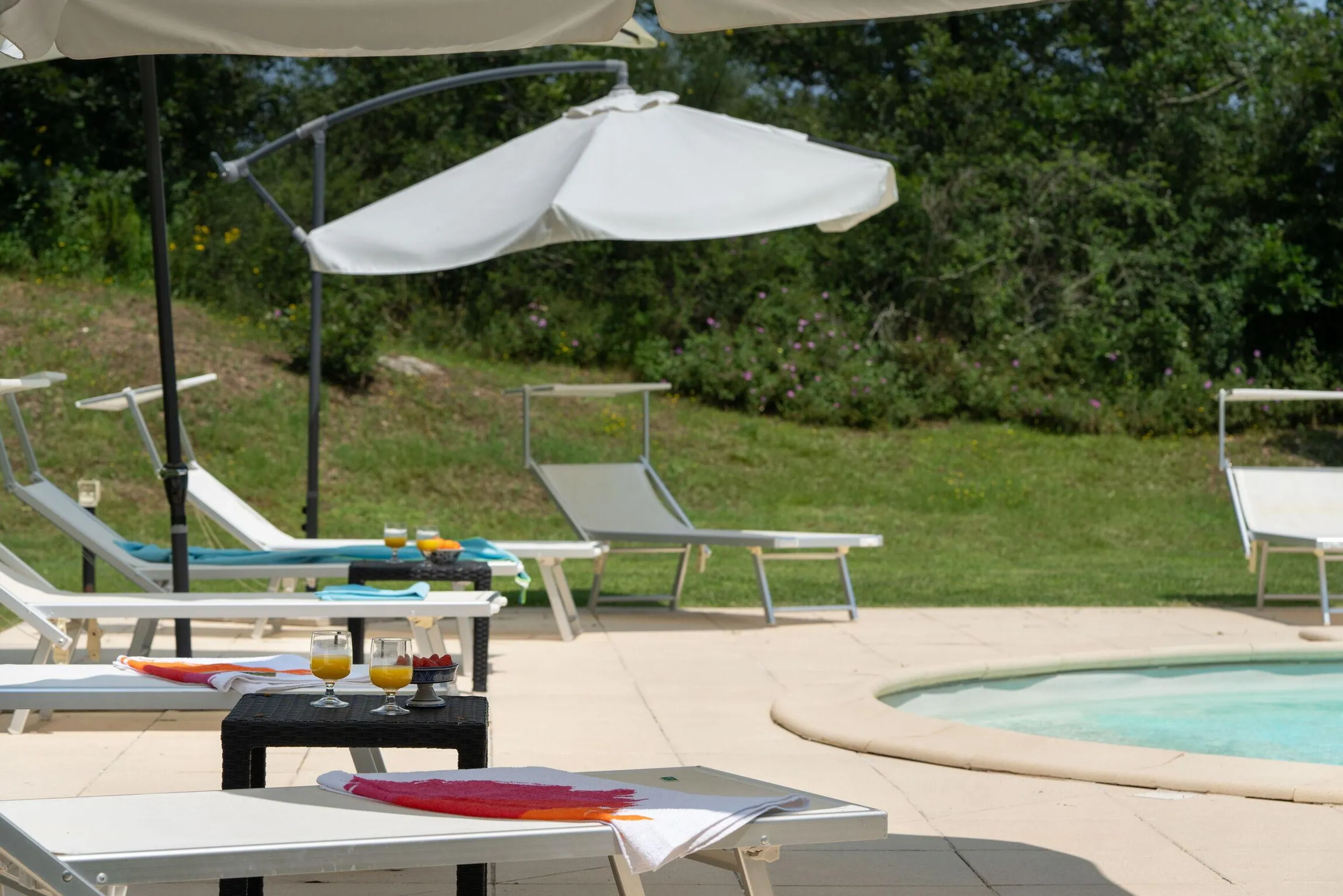 Superb Tuscan Estate with private Pool and Vineyard Views — photograph 10