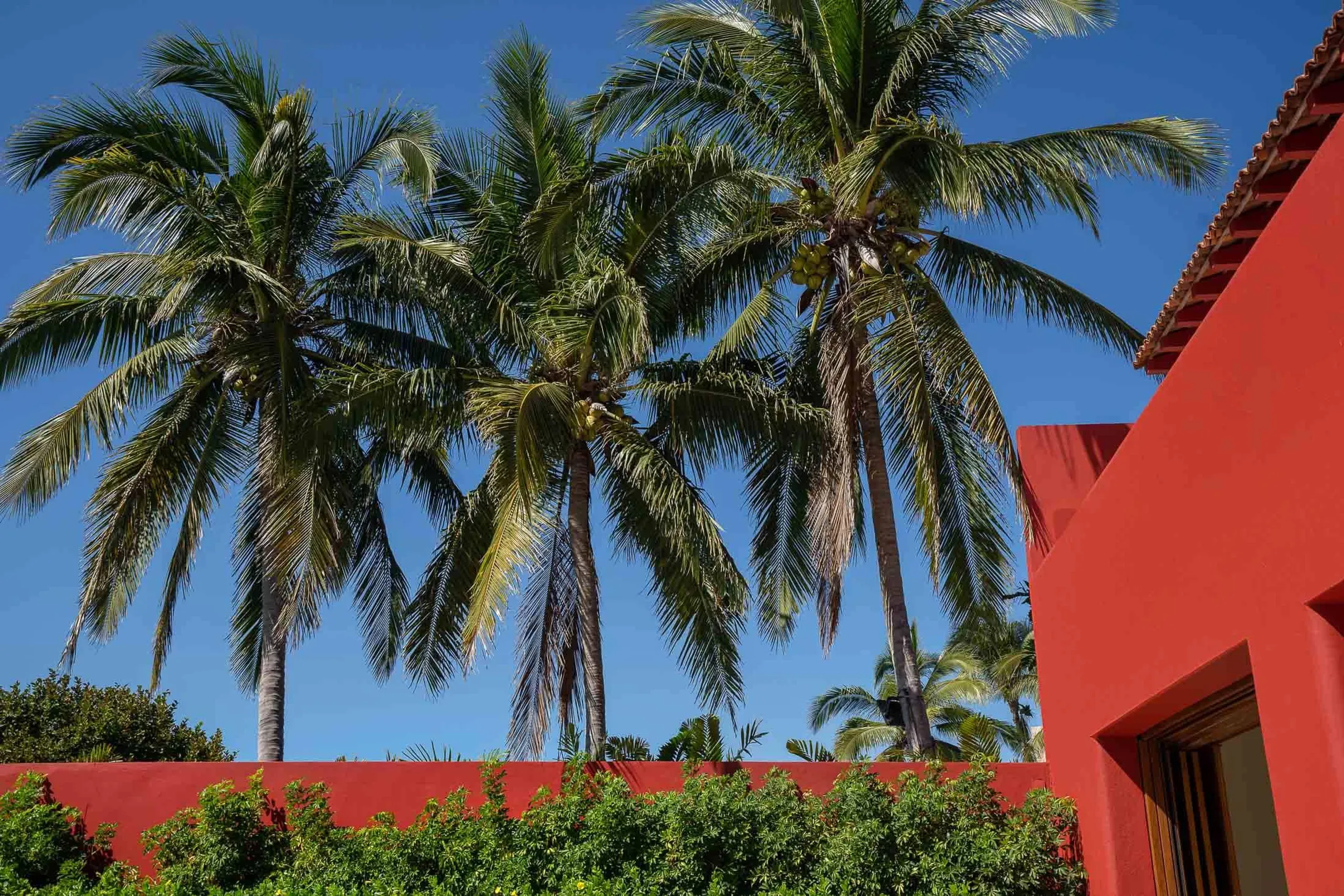Iconic Punta Mita Villa by Pepe de Yturbe with Private Beach & Sunset Views — photograph 11