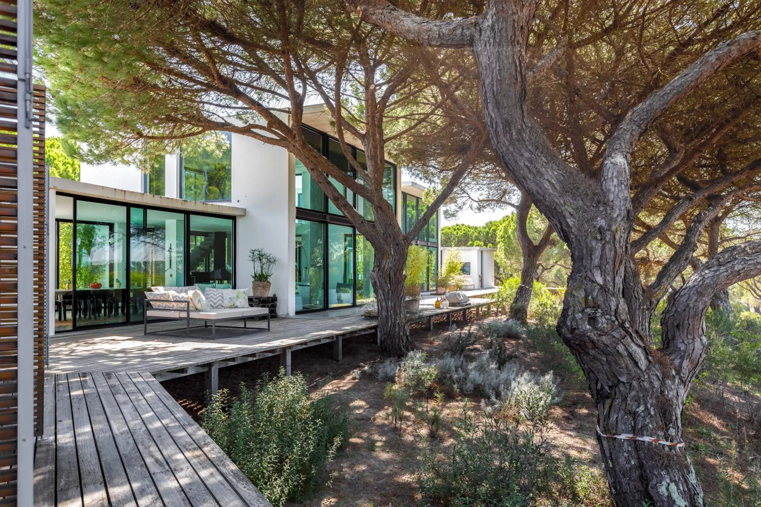 Contemporary Cork Oak Forest Villa with Infinity Pool and Veranda — photograph 2
