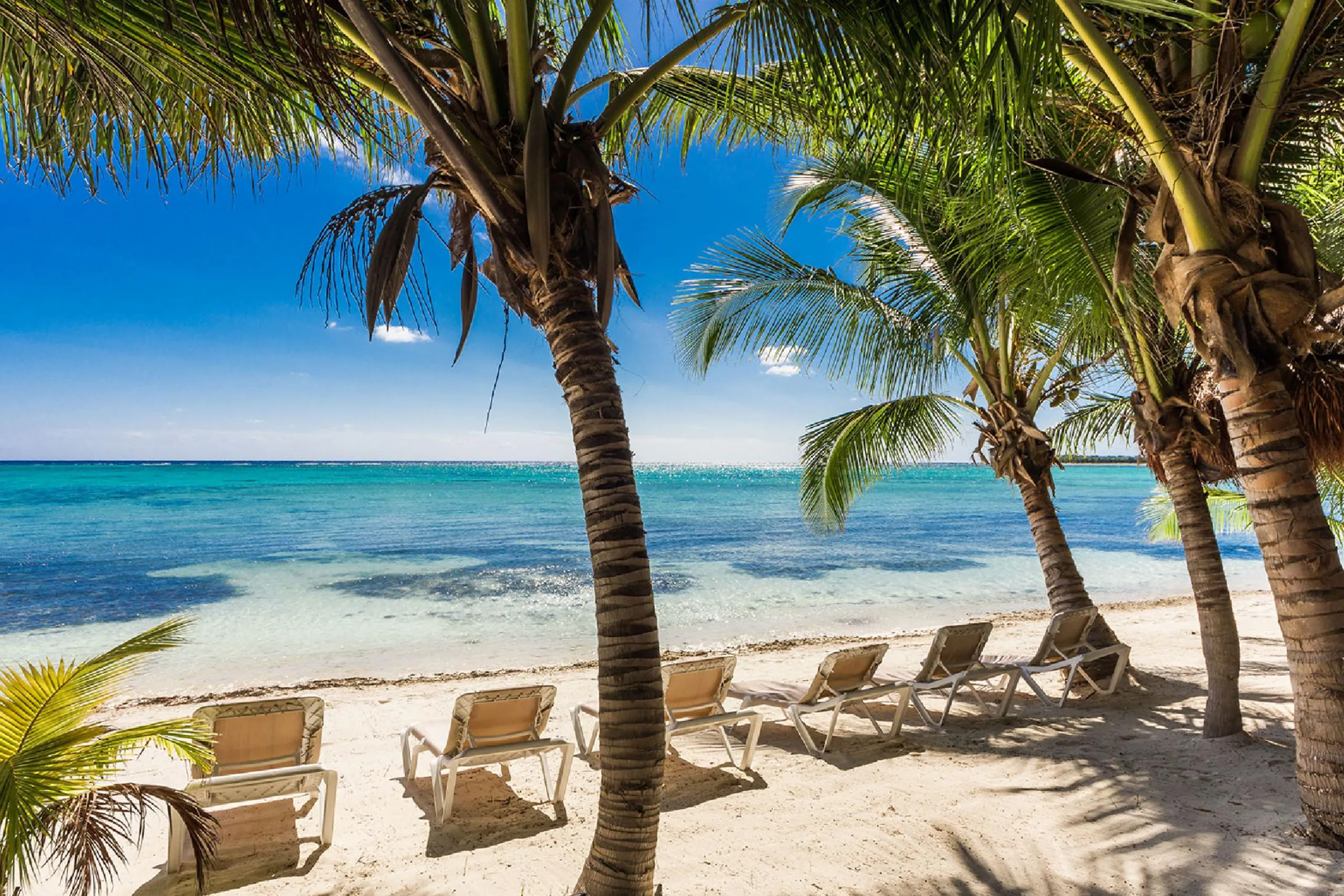 Luxury Seaside Tulum Villa with Private Pool and Magnificent Ocean Views — photograph 3