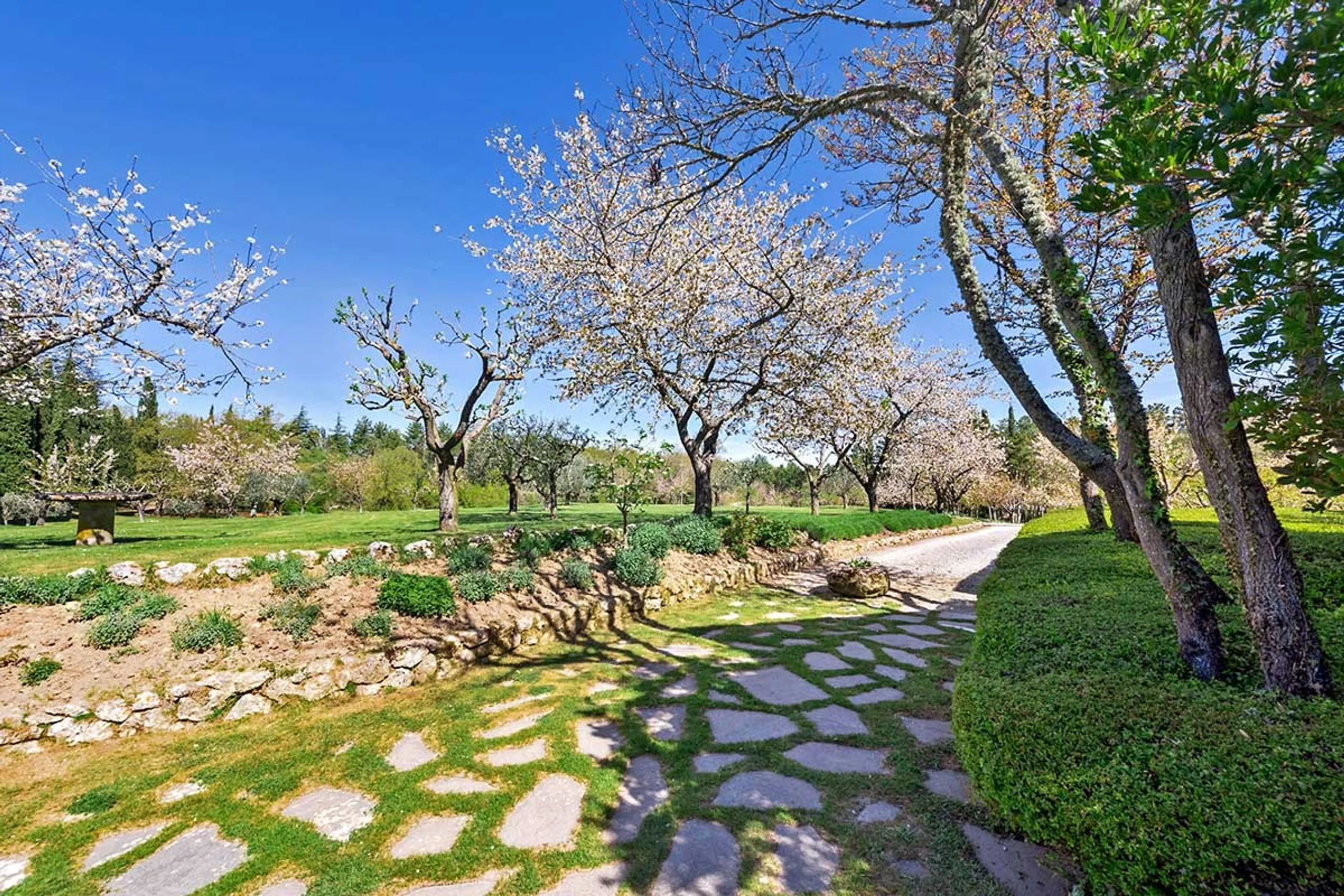 Enchanting Tuscan Heaven with Private Pool, Al Fresco and Gardens — photograph 7